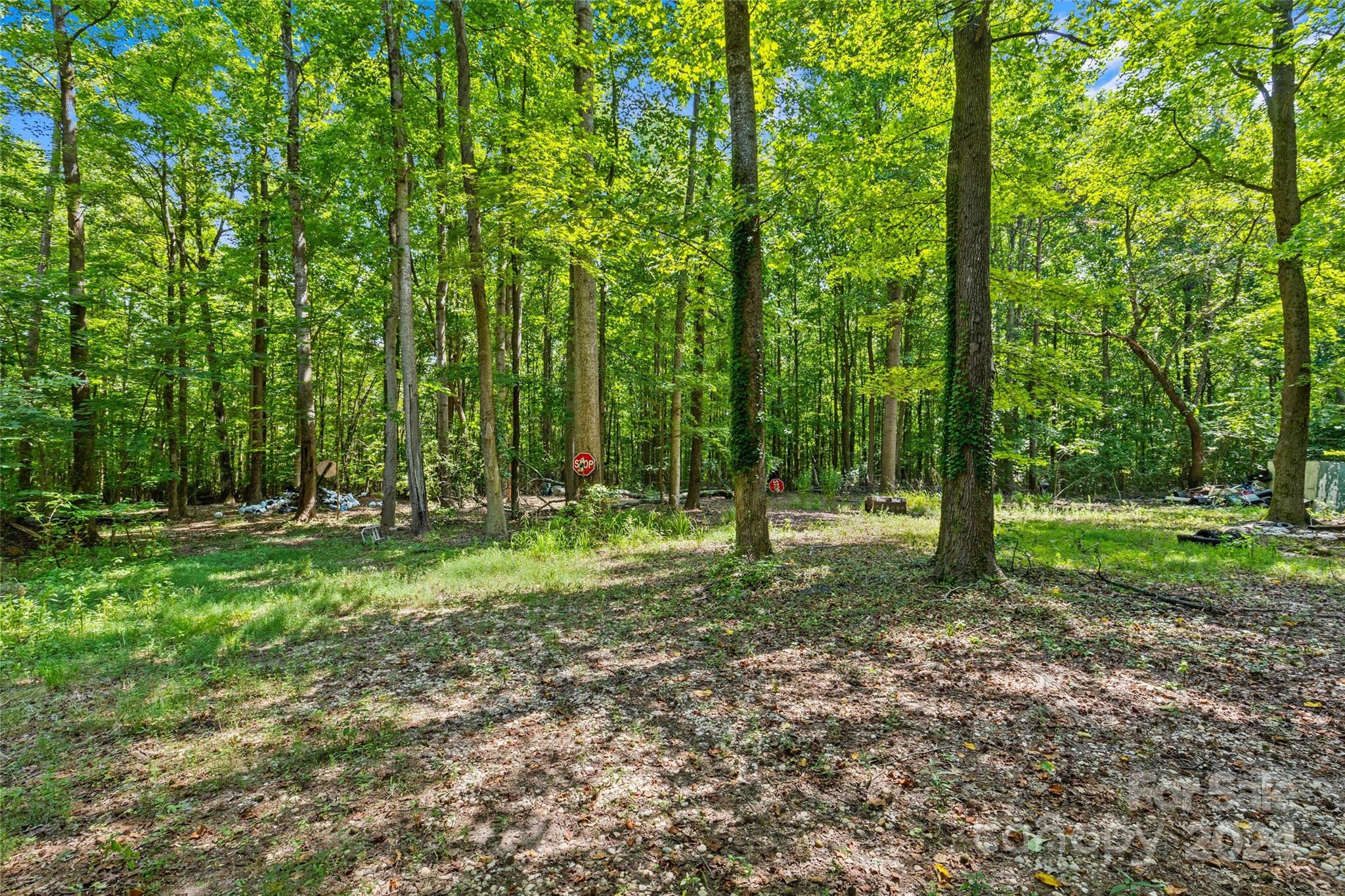 5621 Mount Olive Church Road Property Photo 9