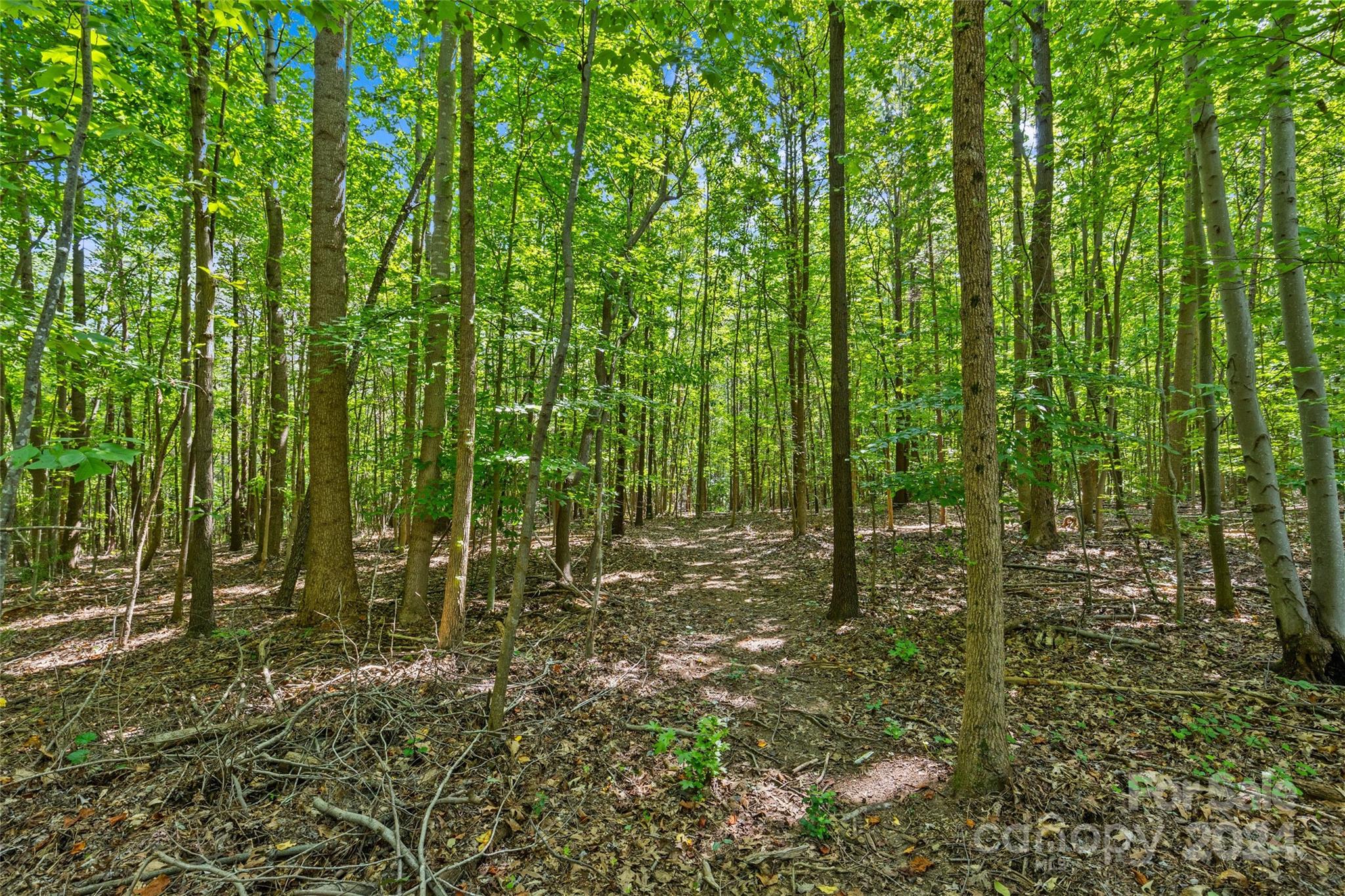 5621 Mount Olive Church Road Property Photo 10