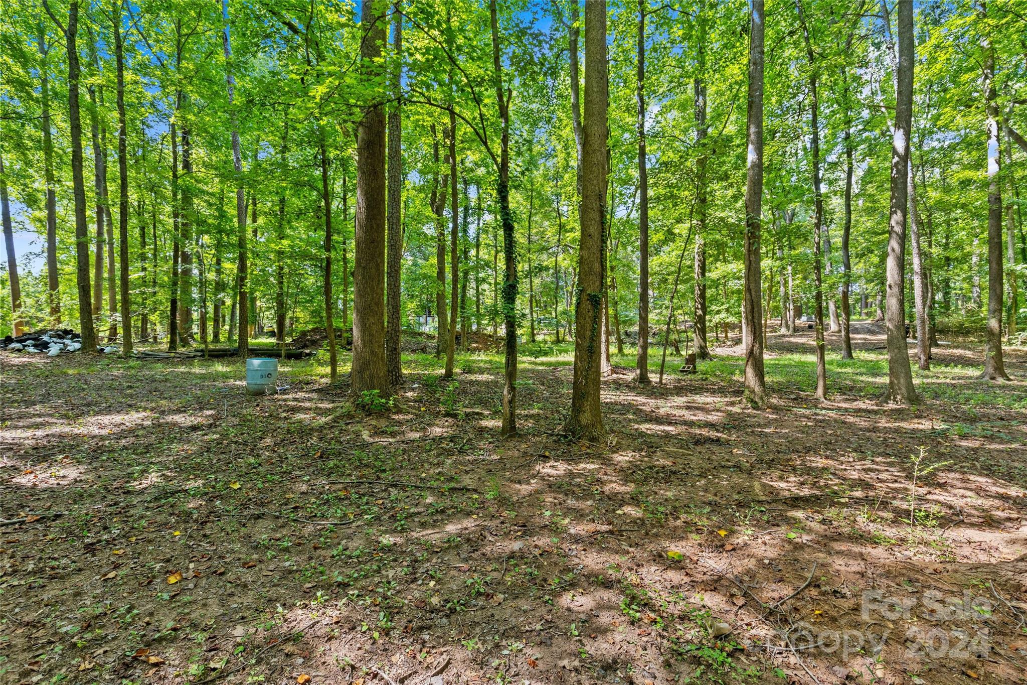 5621 Mount Olive Church Road Property Photo 11
