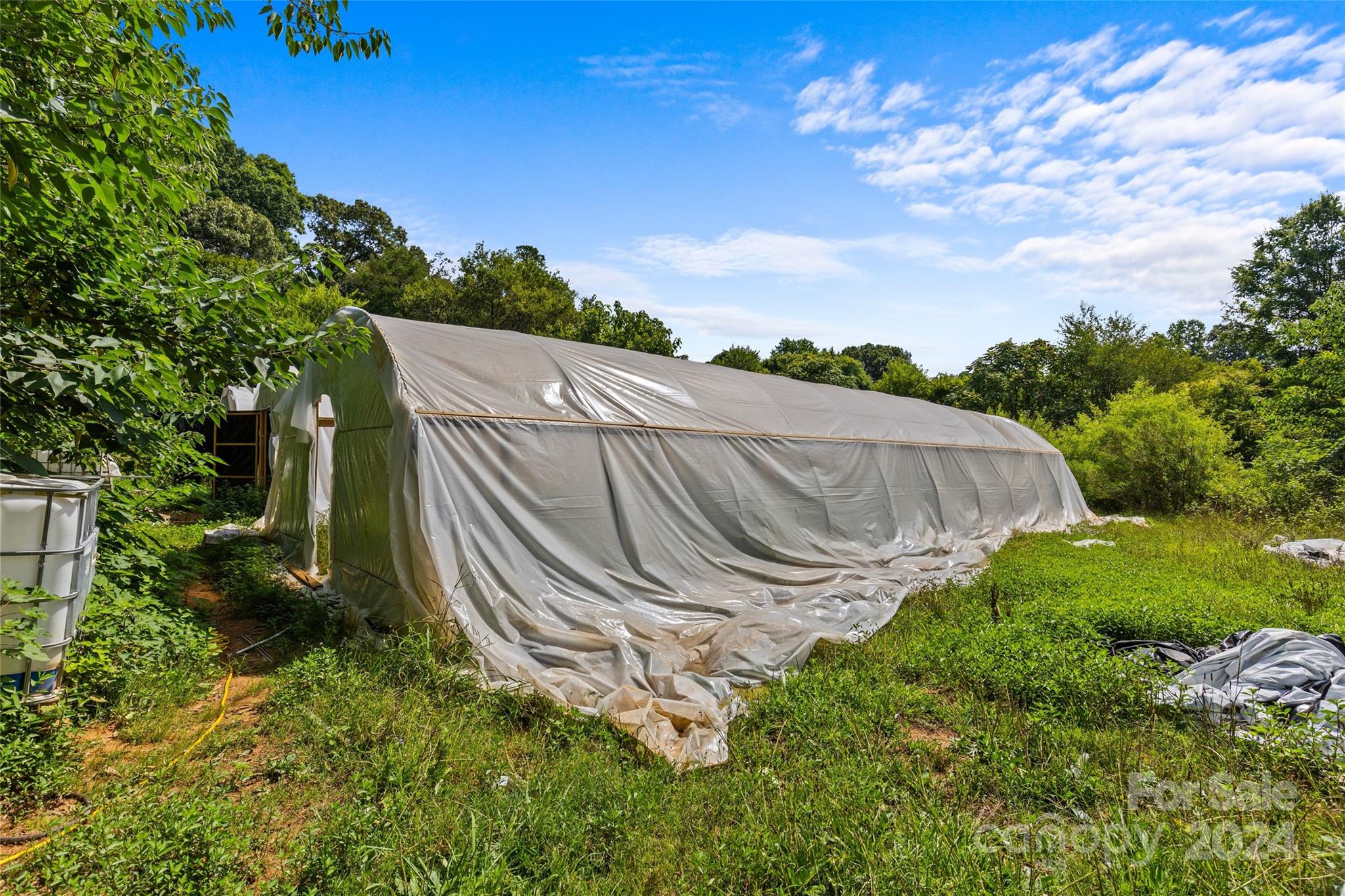 5621 Mount Olive Church Road Property Photo 17