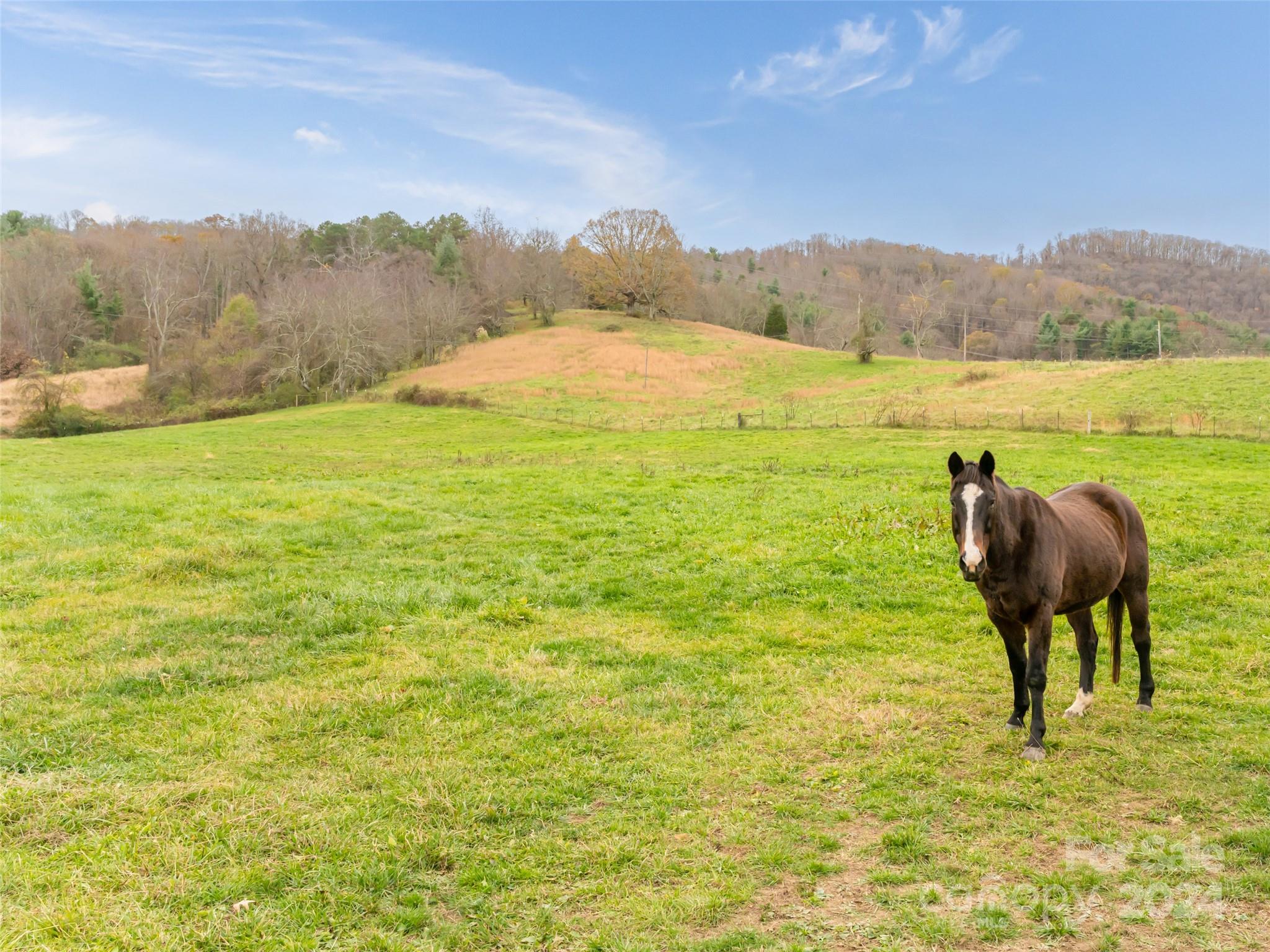 120 & 72 Fordbrook Road Property Photo 11
