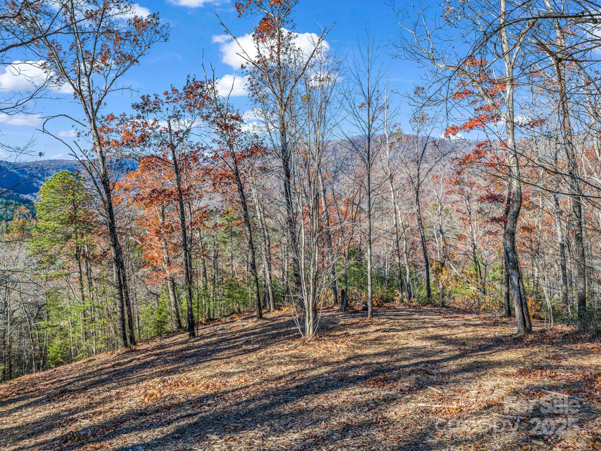 Lot 30 Deep Gap Farm Road Property Photo 9