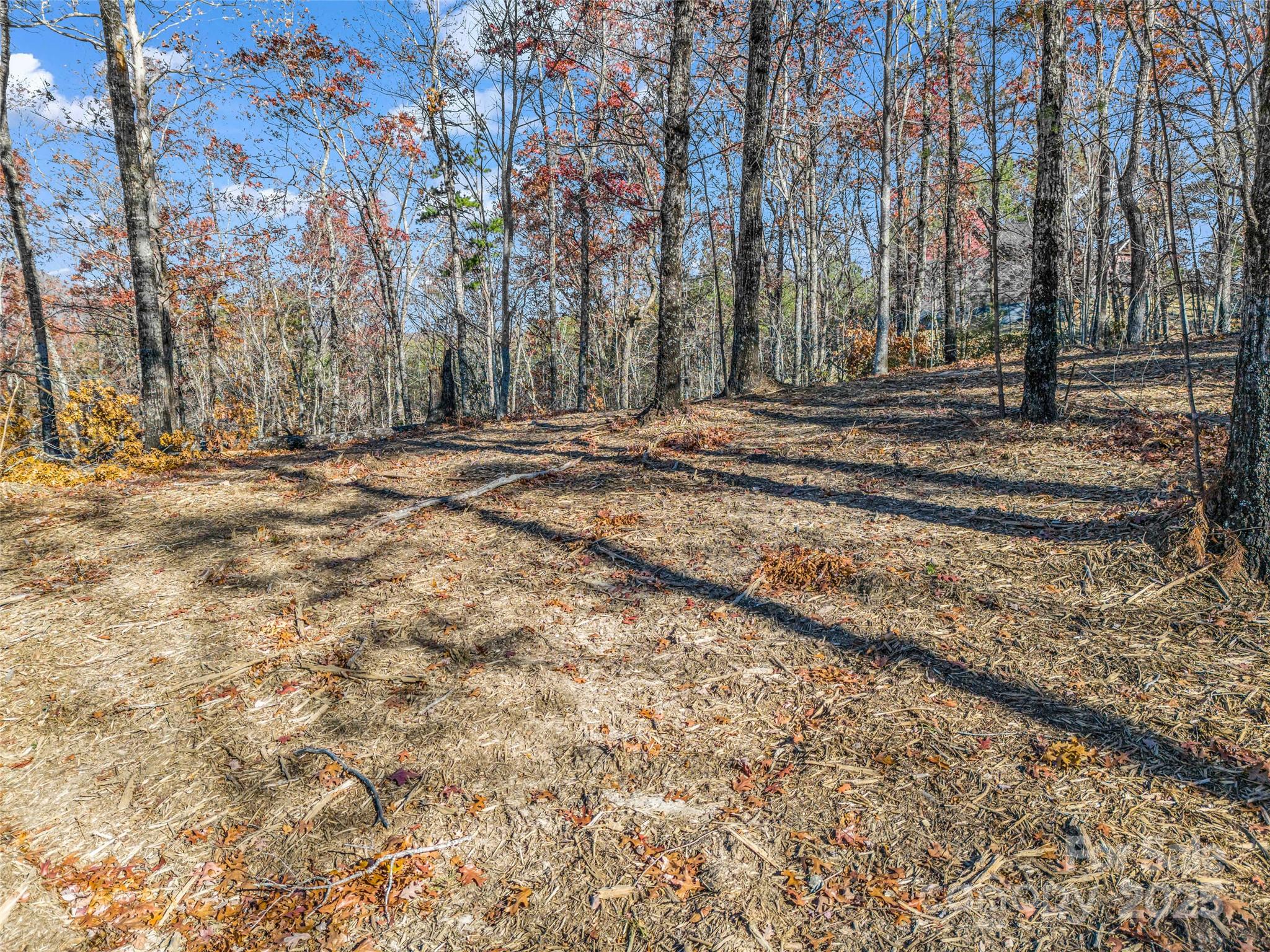 Lot 30 Deep Gap Farm Road Property Photo 12