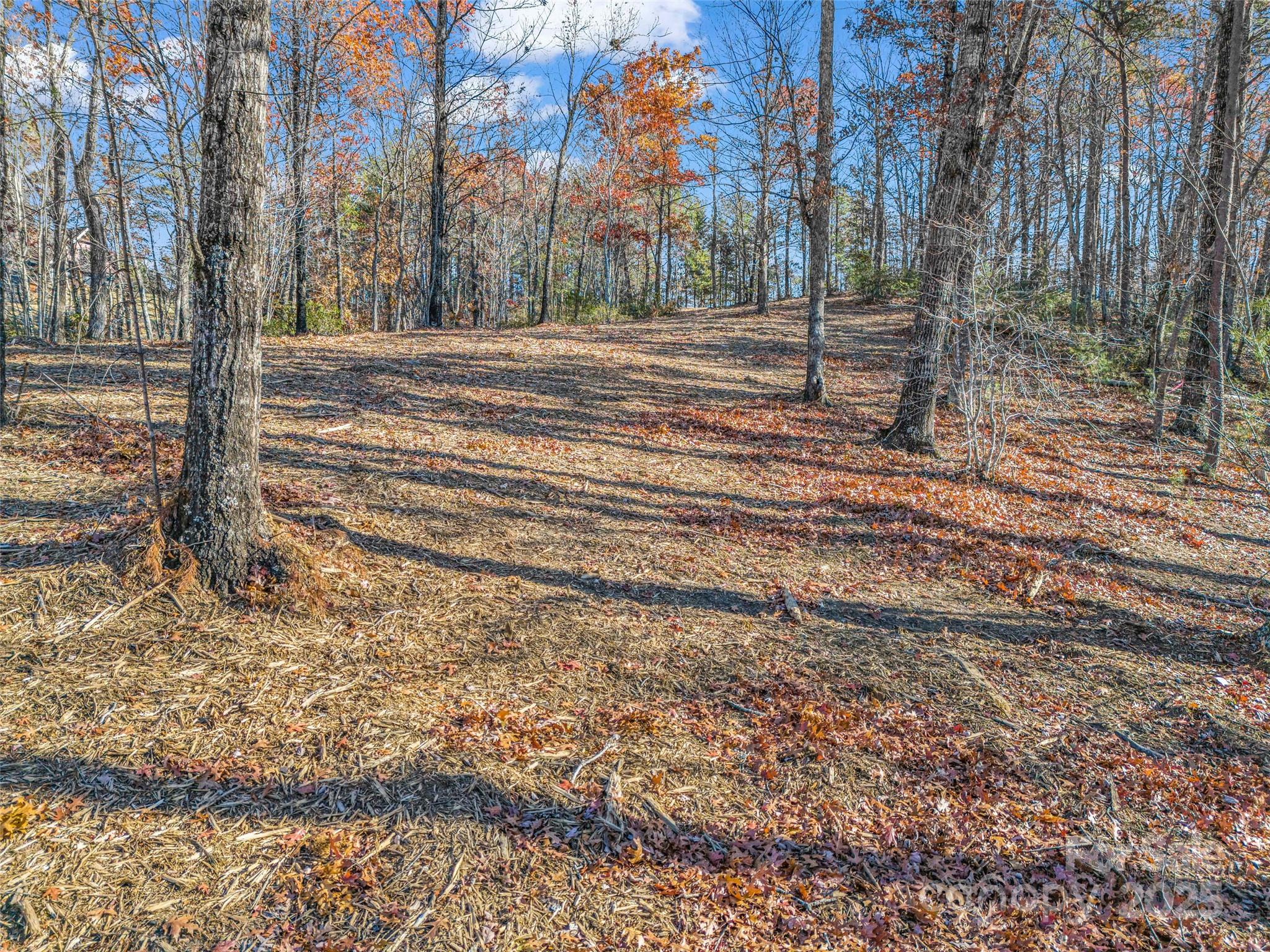Lot 30 Deep Gap Farm Road Property Photo 13