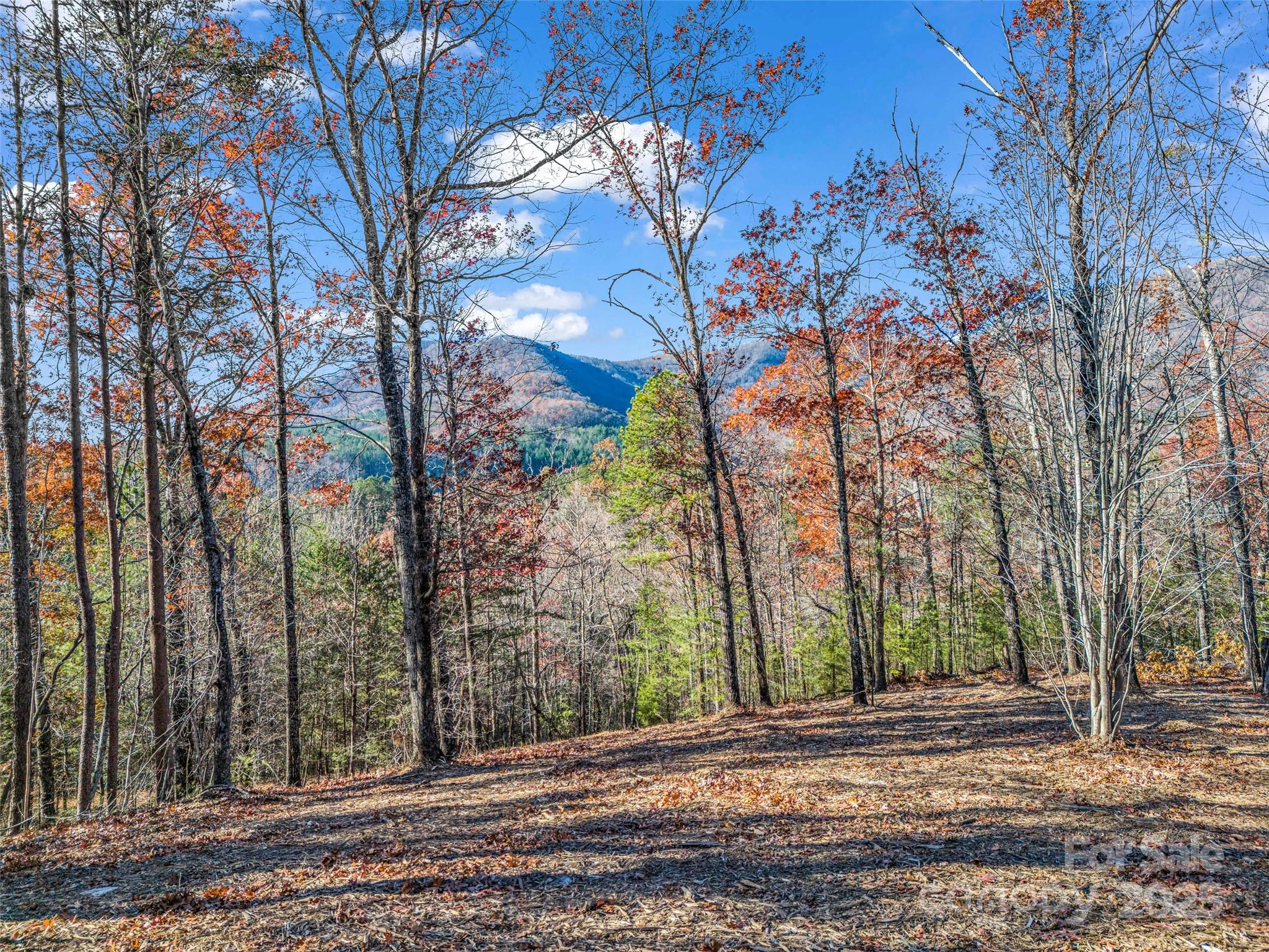 Lot 30 Deep Gap Farm Road Property Photo 15