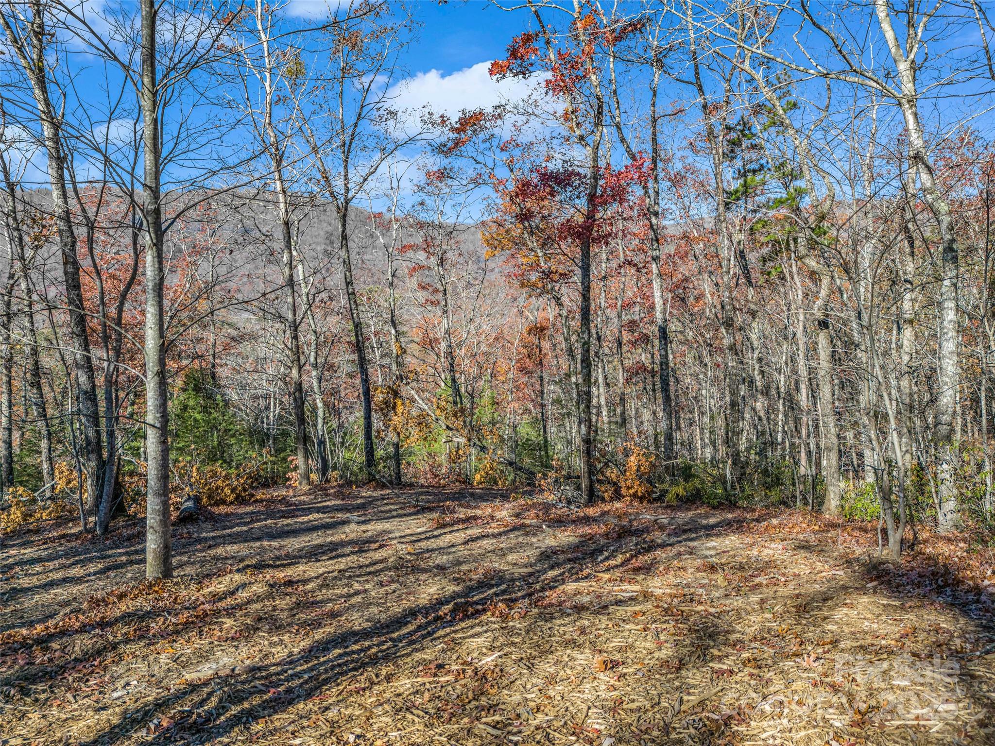 Lot 30 Deep Gap Farm Road Property Photo 16