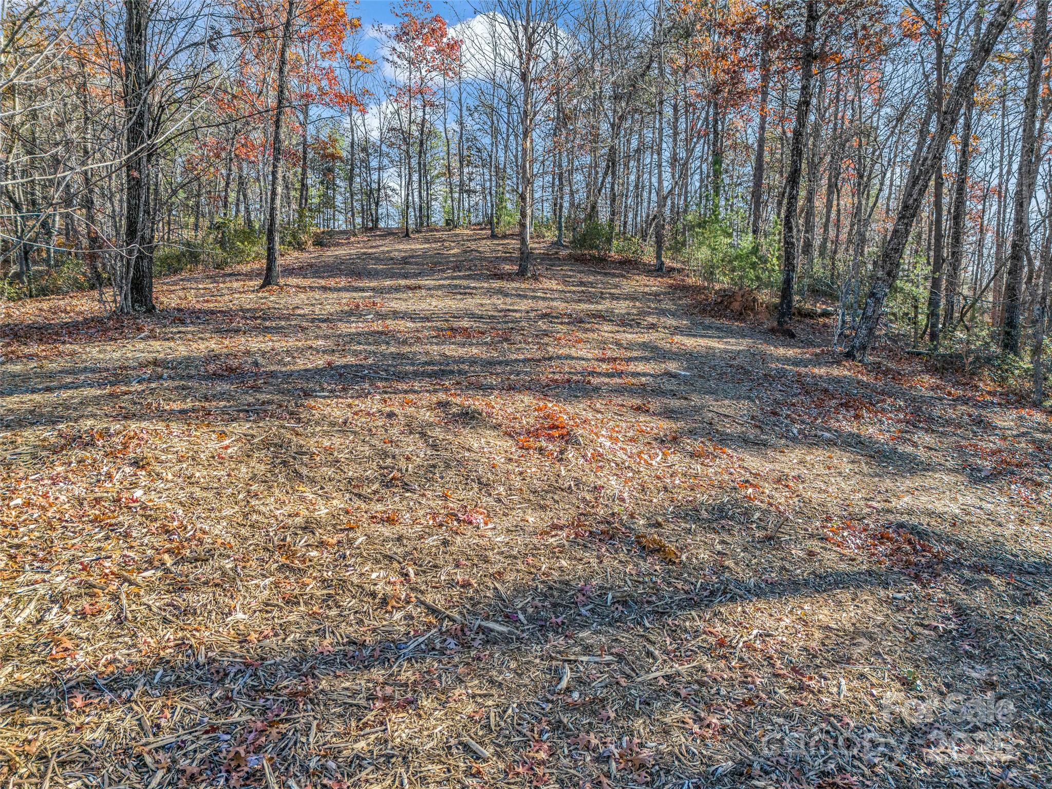 Lot 30 Deep Gap Farm Road Property Photo 17