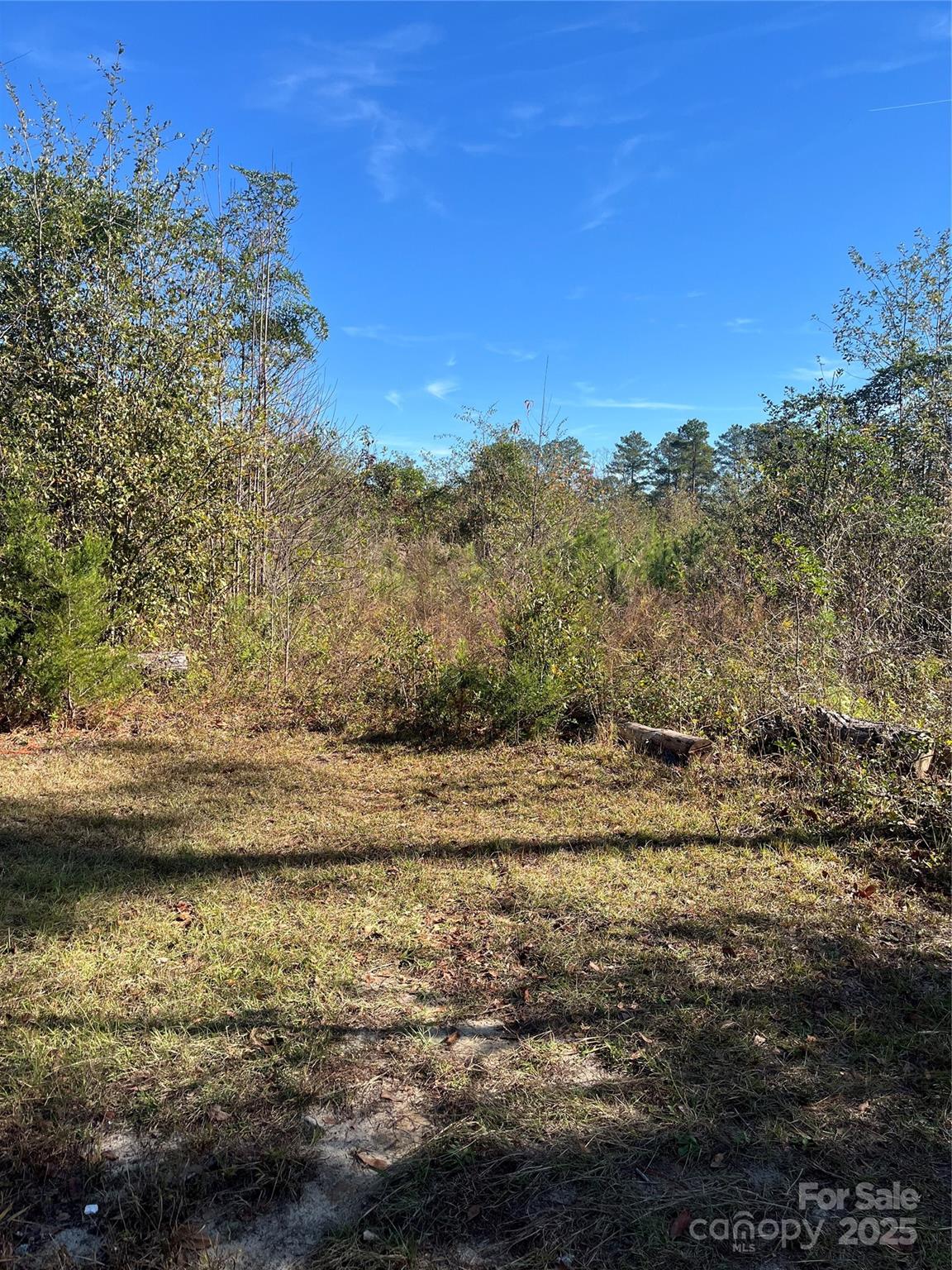 0 Spring Branch Drive Property Photo 5