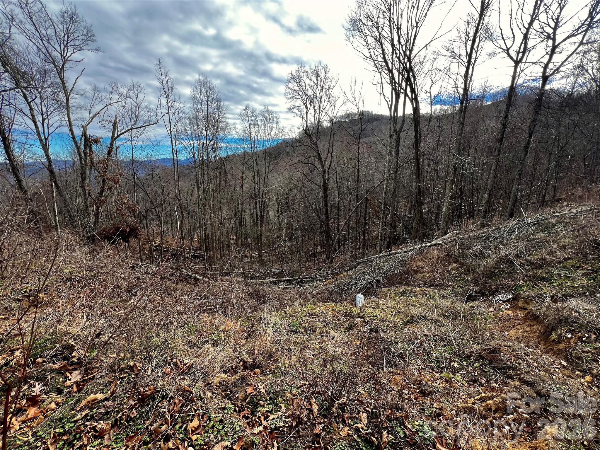 4 And 4b Salisbury Cove Property Photo 9