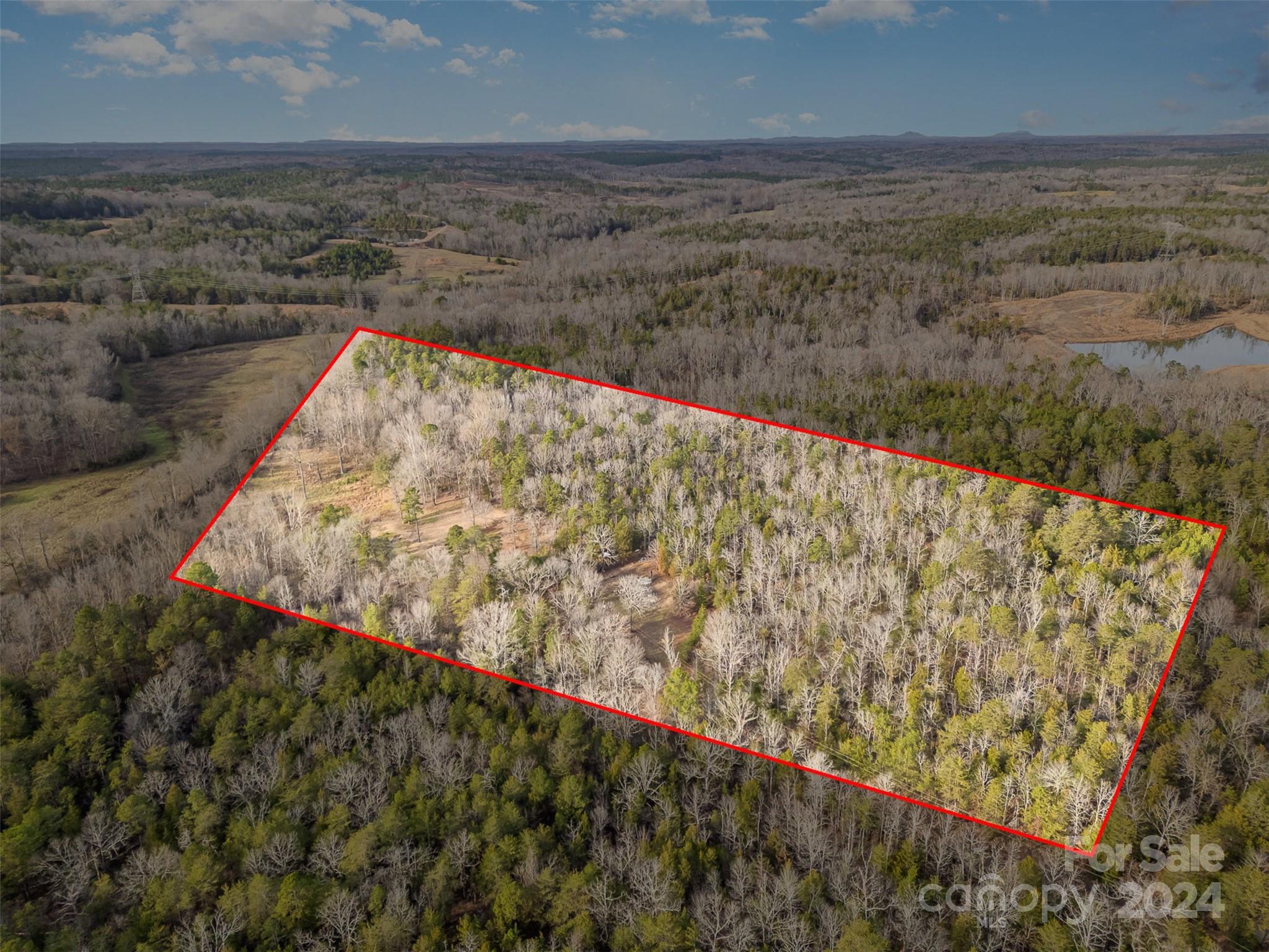 940 Turkey Creek Ridge Road Property Photo 3