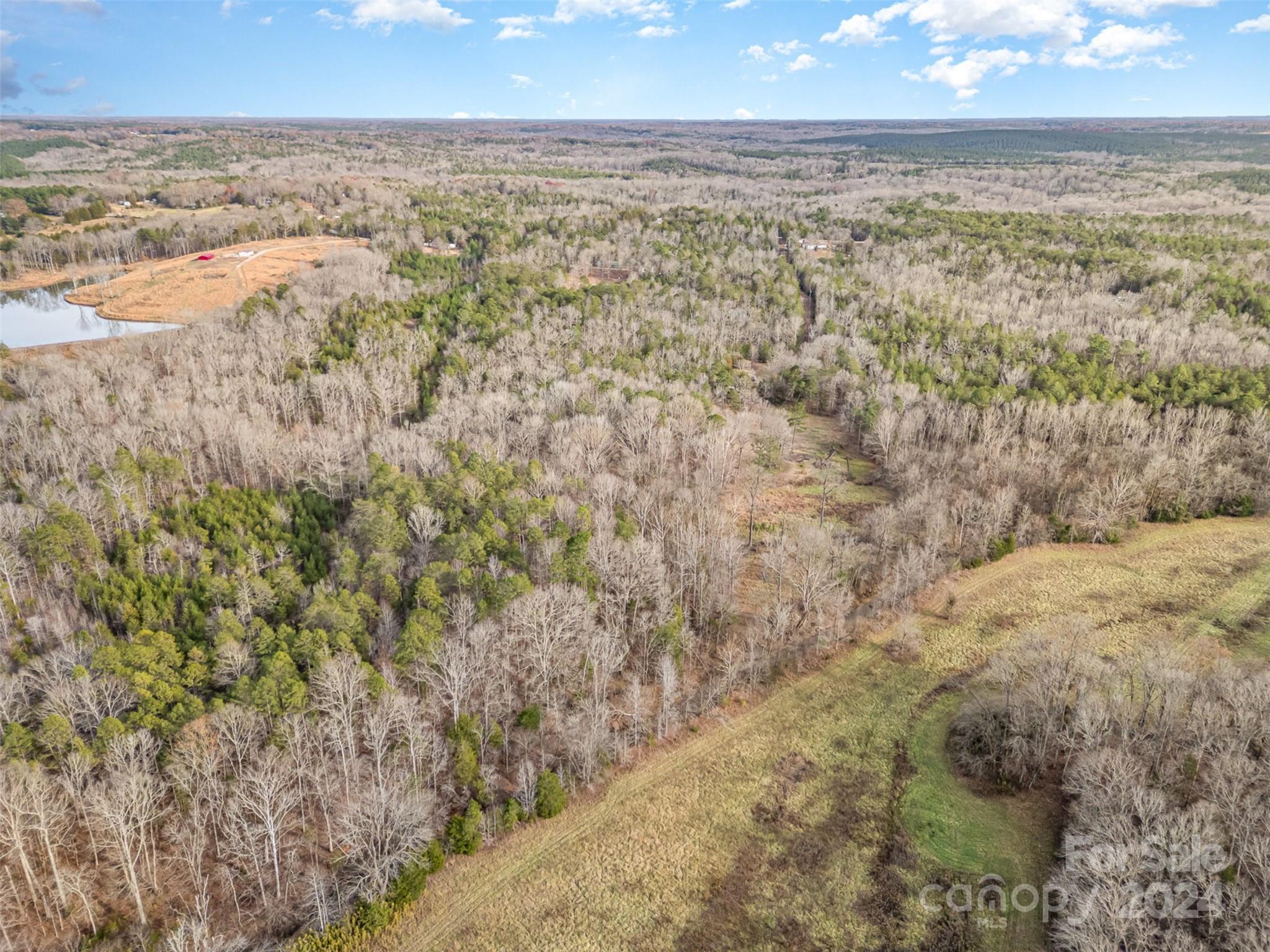 940 Turkey Creek Ridge Road Property Photo 6