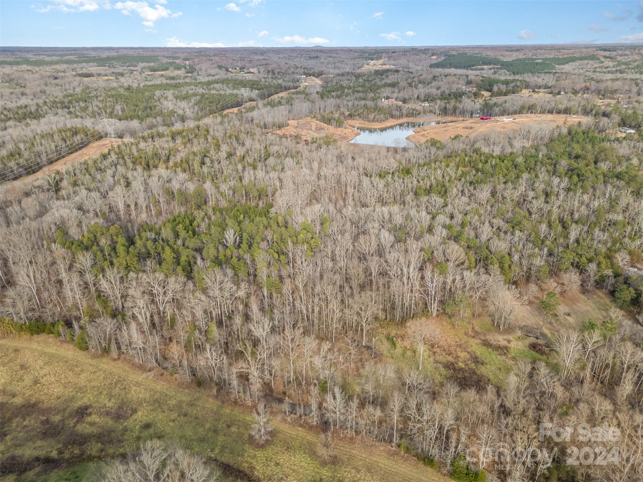 940 Turkey Creek Ridge Road Property Photo 10