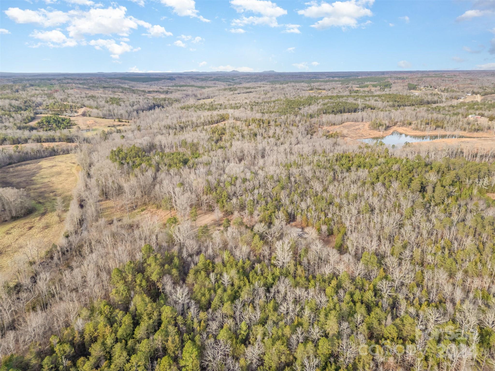 940 Turkey Creek Ridge Road Property Photo 12