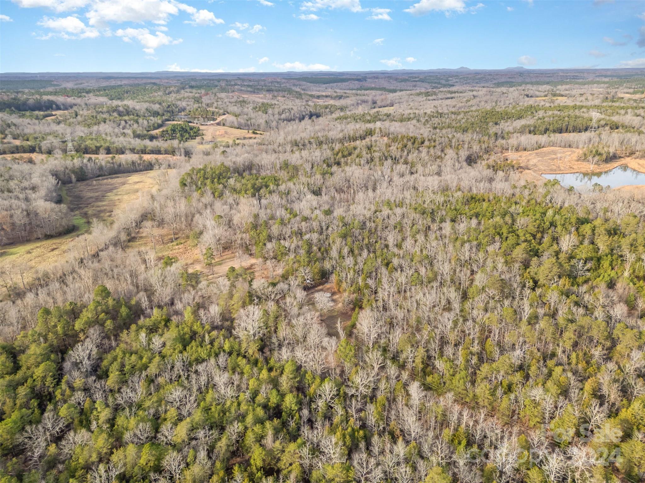 940 Turkey Creek Ridge Road Property Photo 14