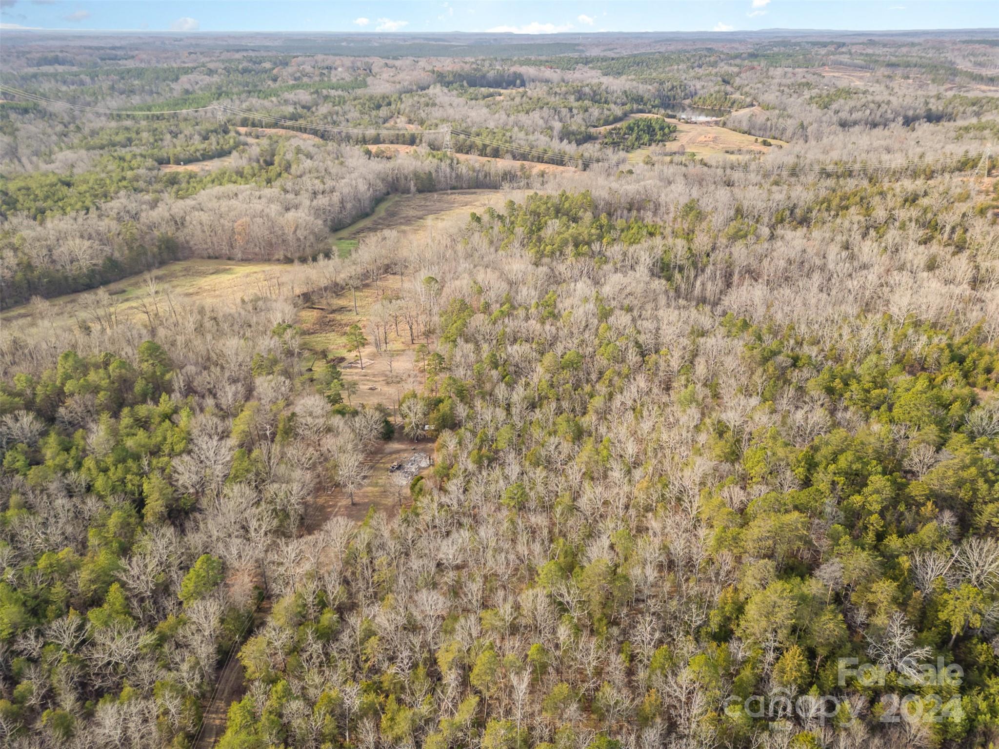 940 Turkey Creek Ridge Road Property Photo 15