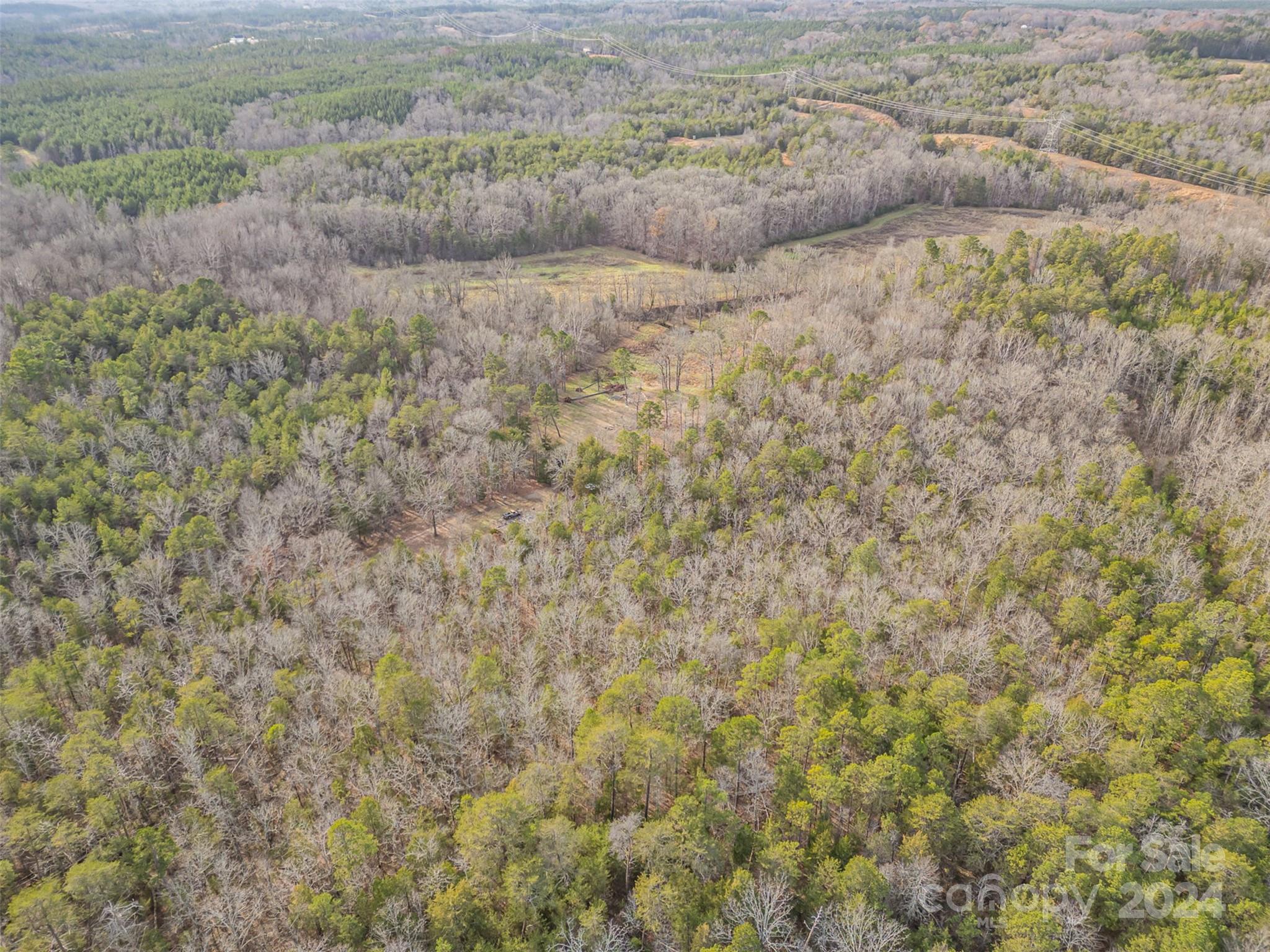 940 Turkey Creek Ridge Road Property Photo 16