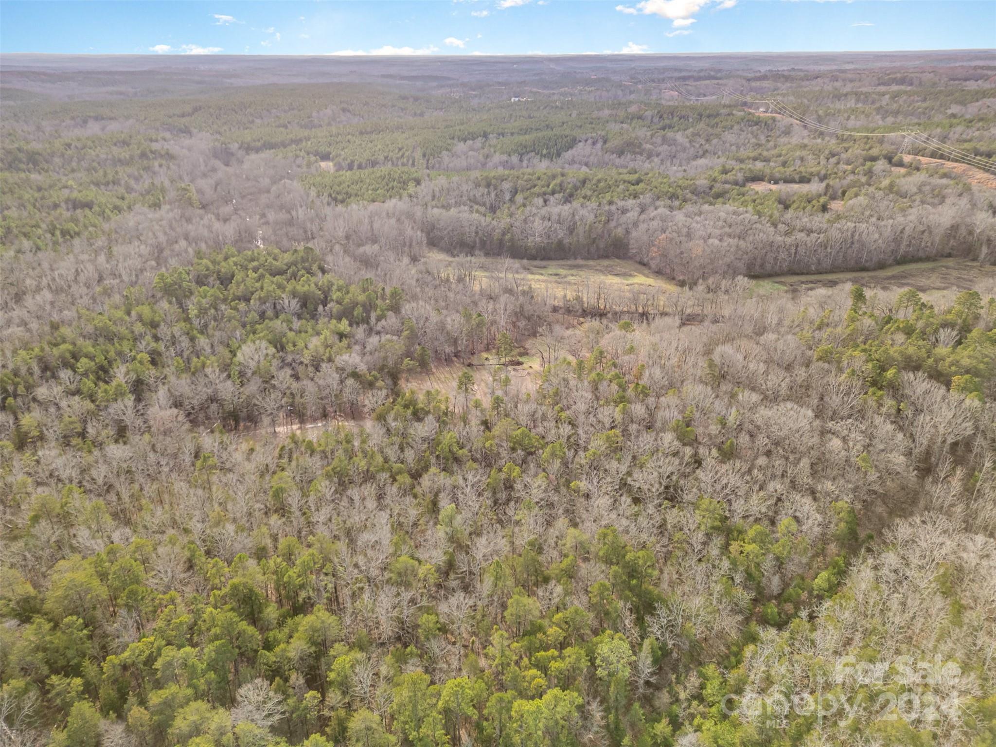 940 Turkey Creek Ridge Road Property Photo 17