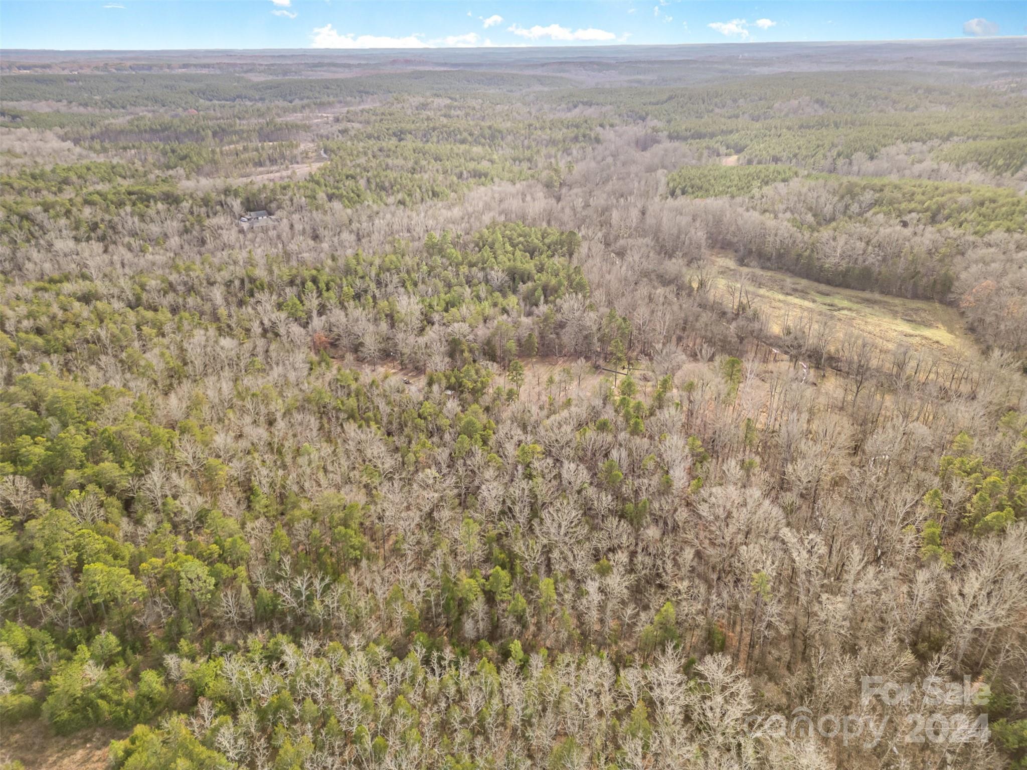940 Turkey Creek Ridge Road Property Photo 18