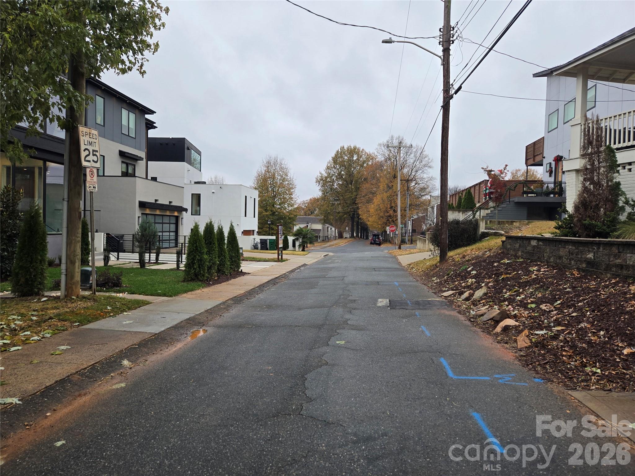 316 Frazier Avenue Property Photo 2