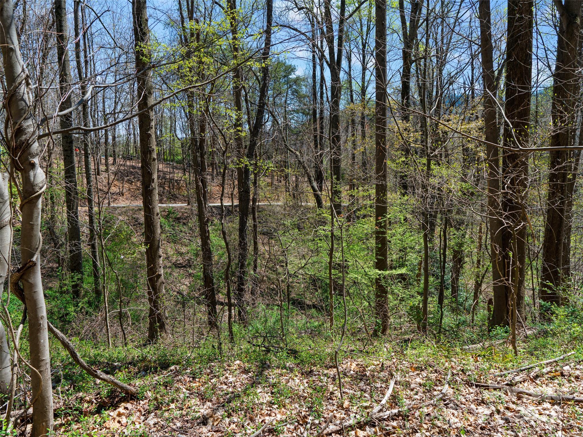 00 Lovebird Lane Property Photo 9