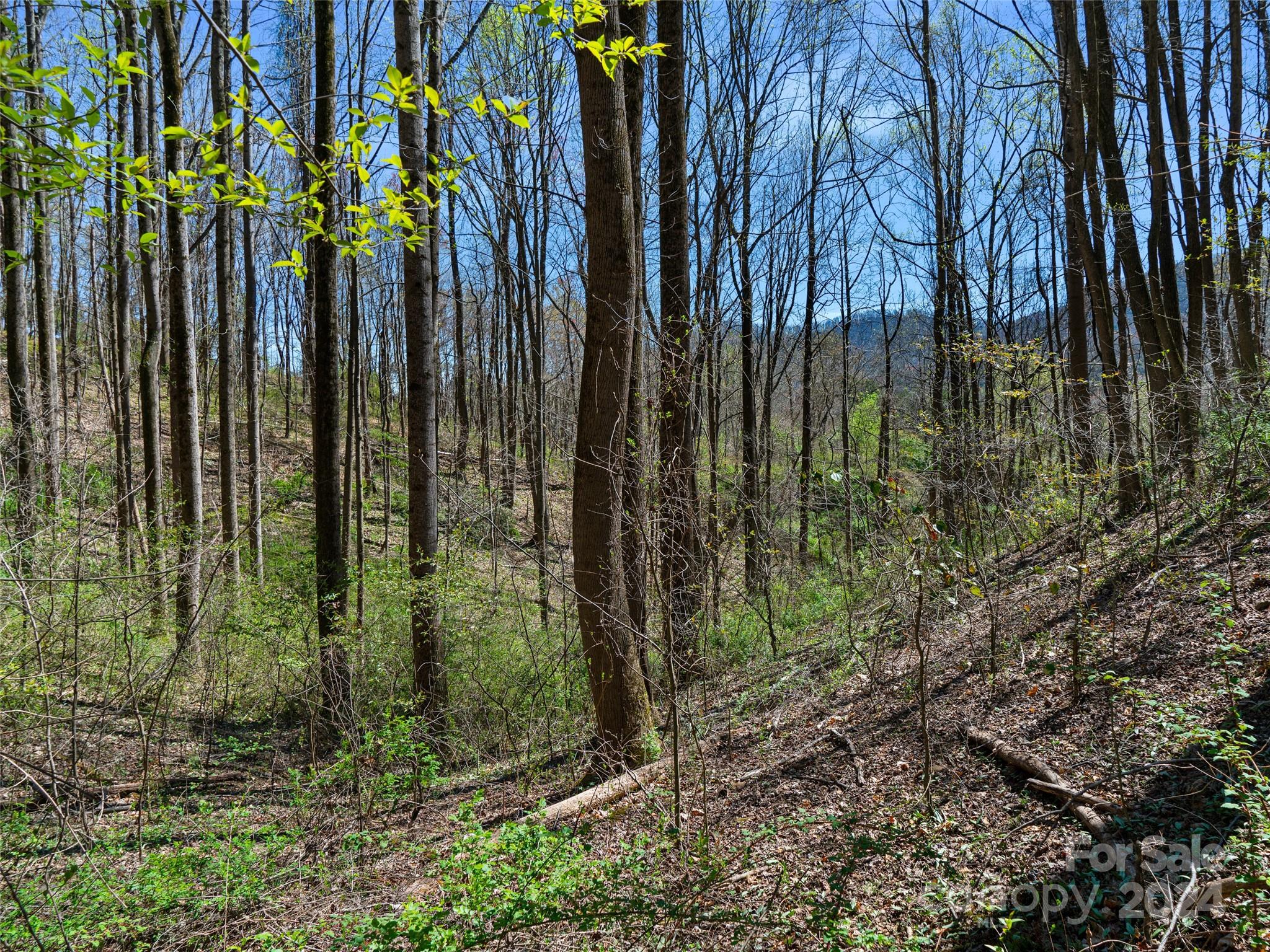 00 Lovebird Lane Property Photo 17