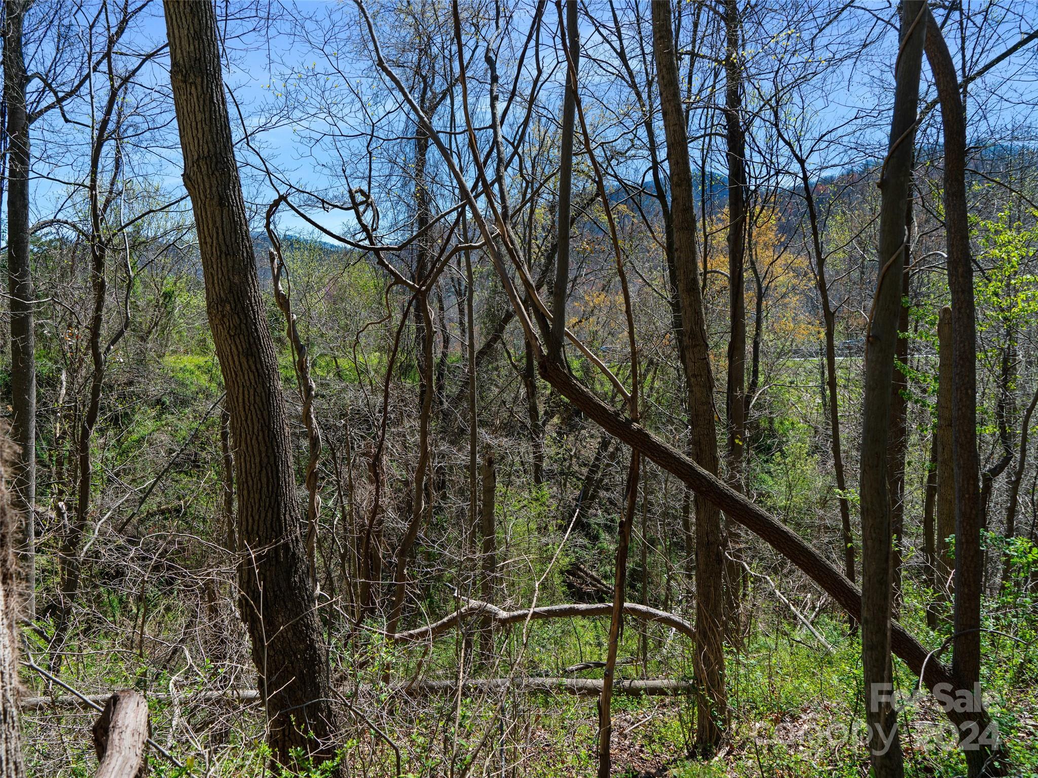 00 Lovebird Lane Property Photo 18