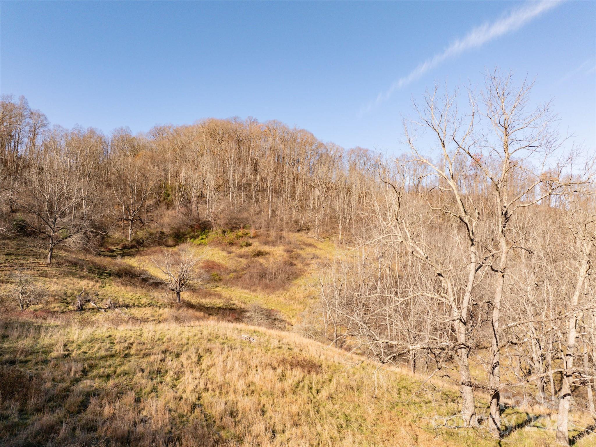 Tbd Belmont Drive Property Photo 5