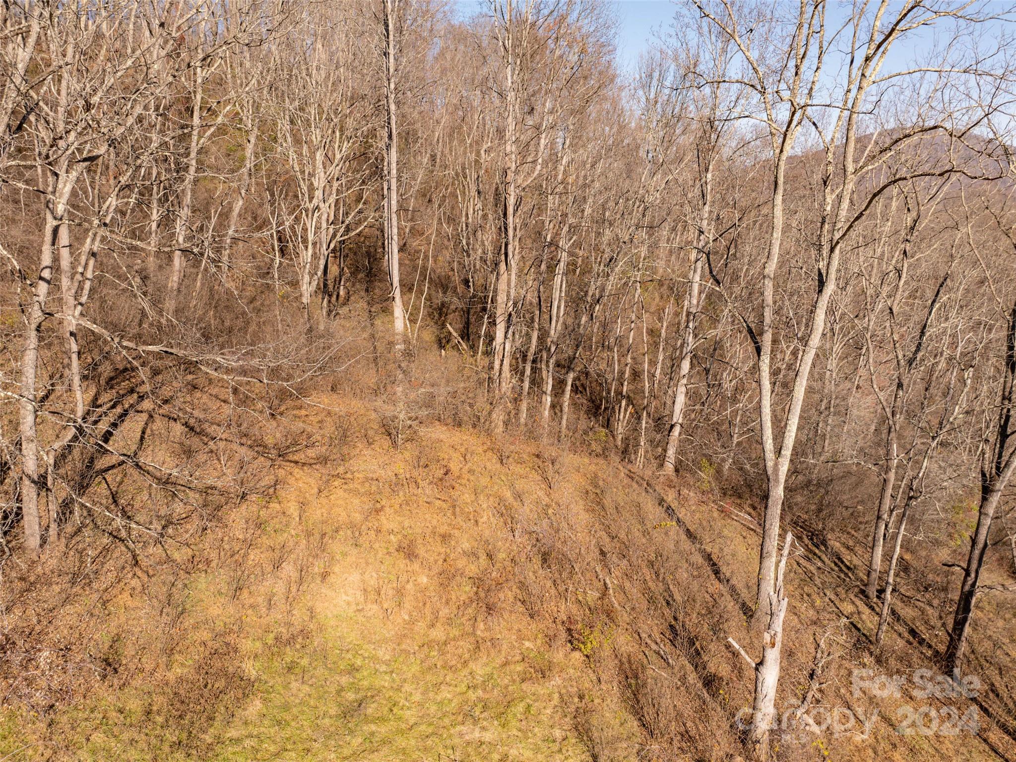 Tbd Belmont Drive Property Photo 15