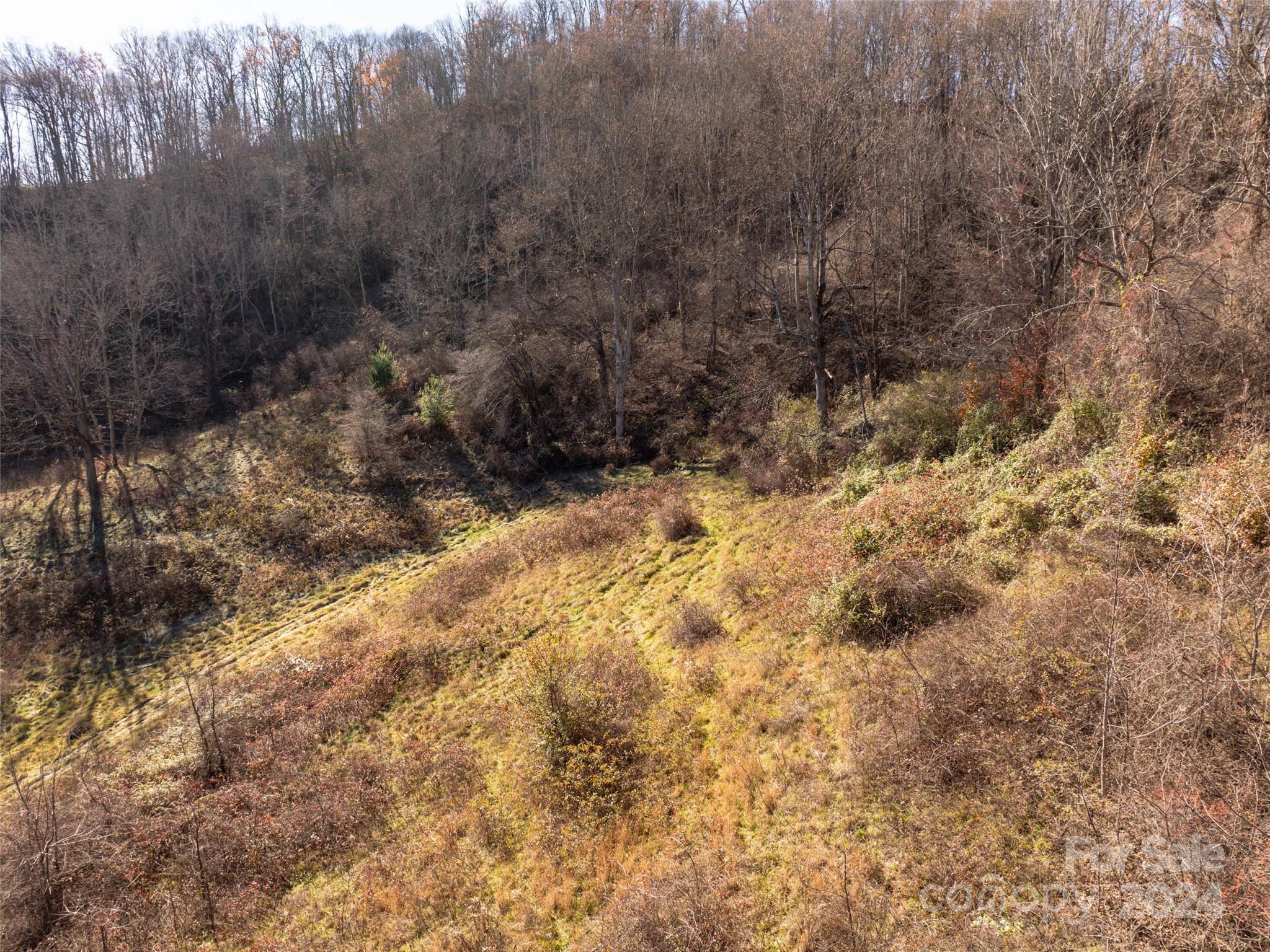 Tbd Belmont Drive Property Photo 16