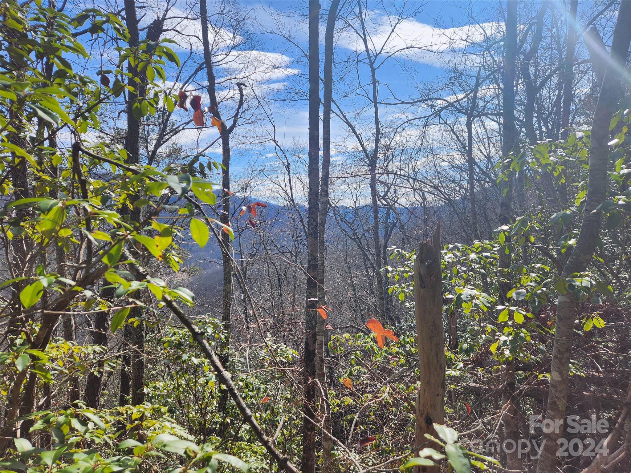 0001 Long Winding Road Property Photo 2