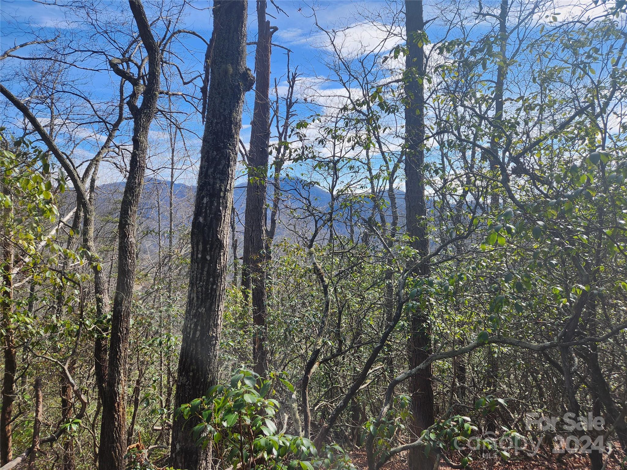 0001 Long Winding Road Property Photo 3
