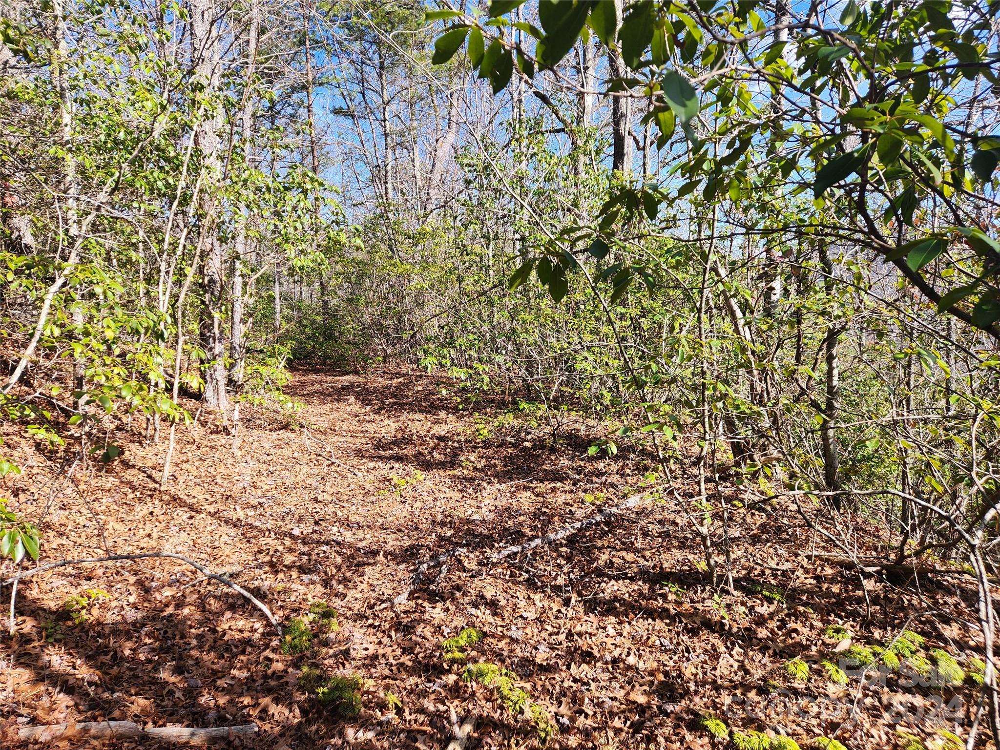 0001 Long Winding Road Property Photo 5