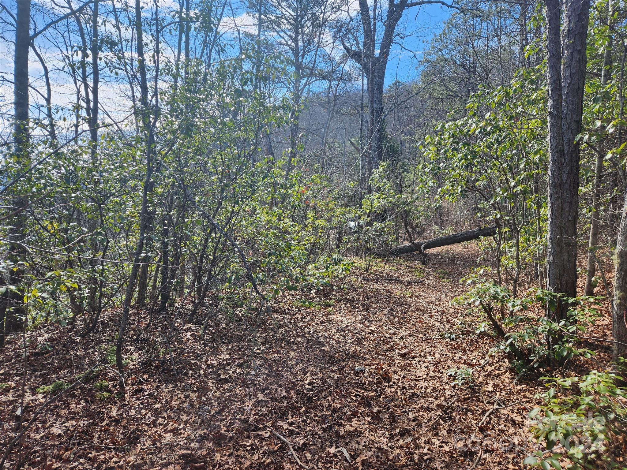 0001 Long Winding Road Property Photo 6