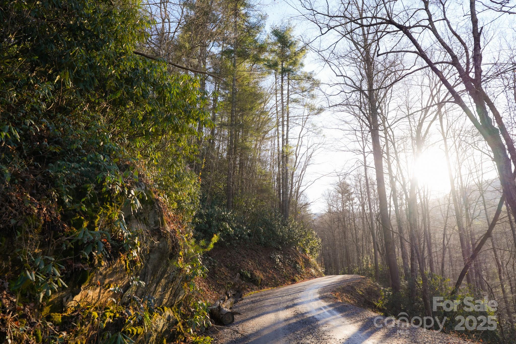 9999999 White Oak Road Property Photo 3
