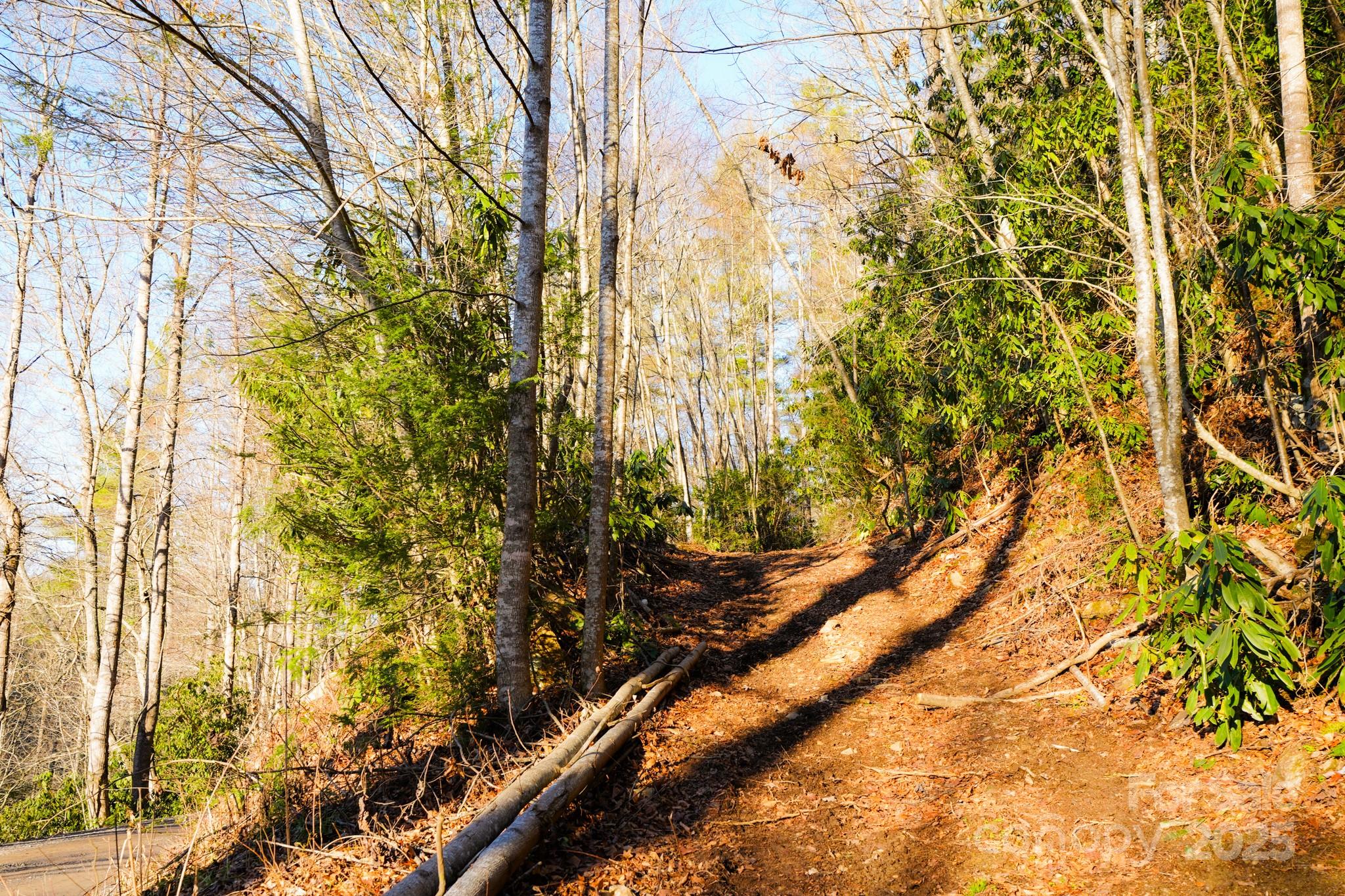 9999999 White Oak Road Property Photo 6