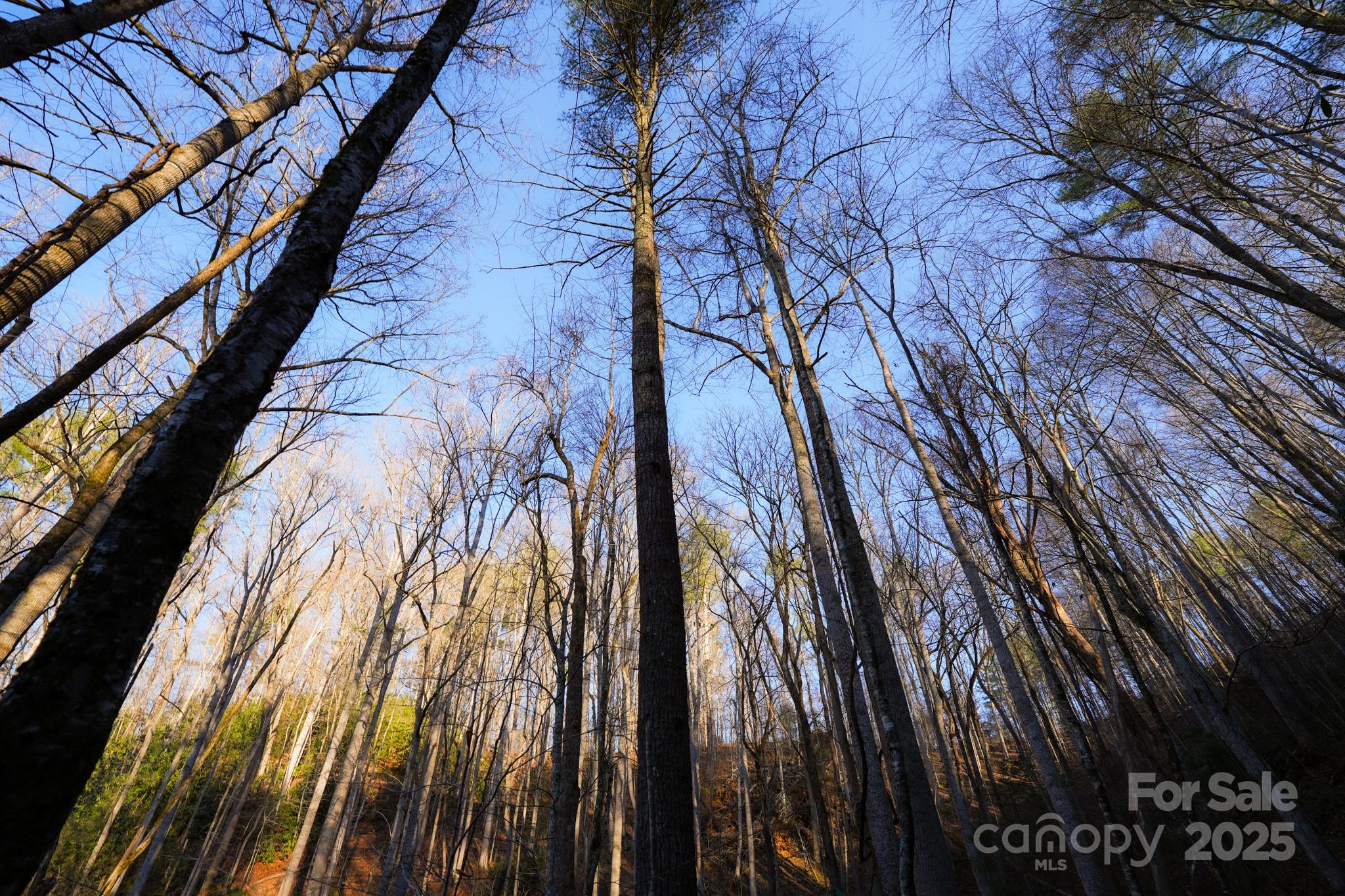 9999999 White Oak Road Property Photo 7