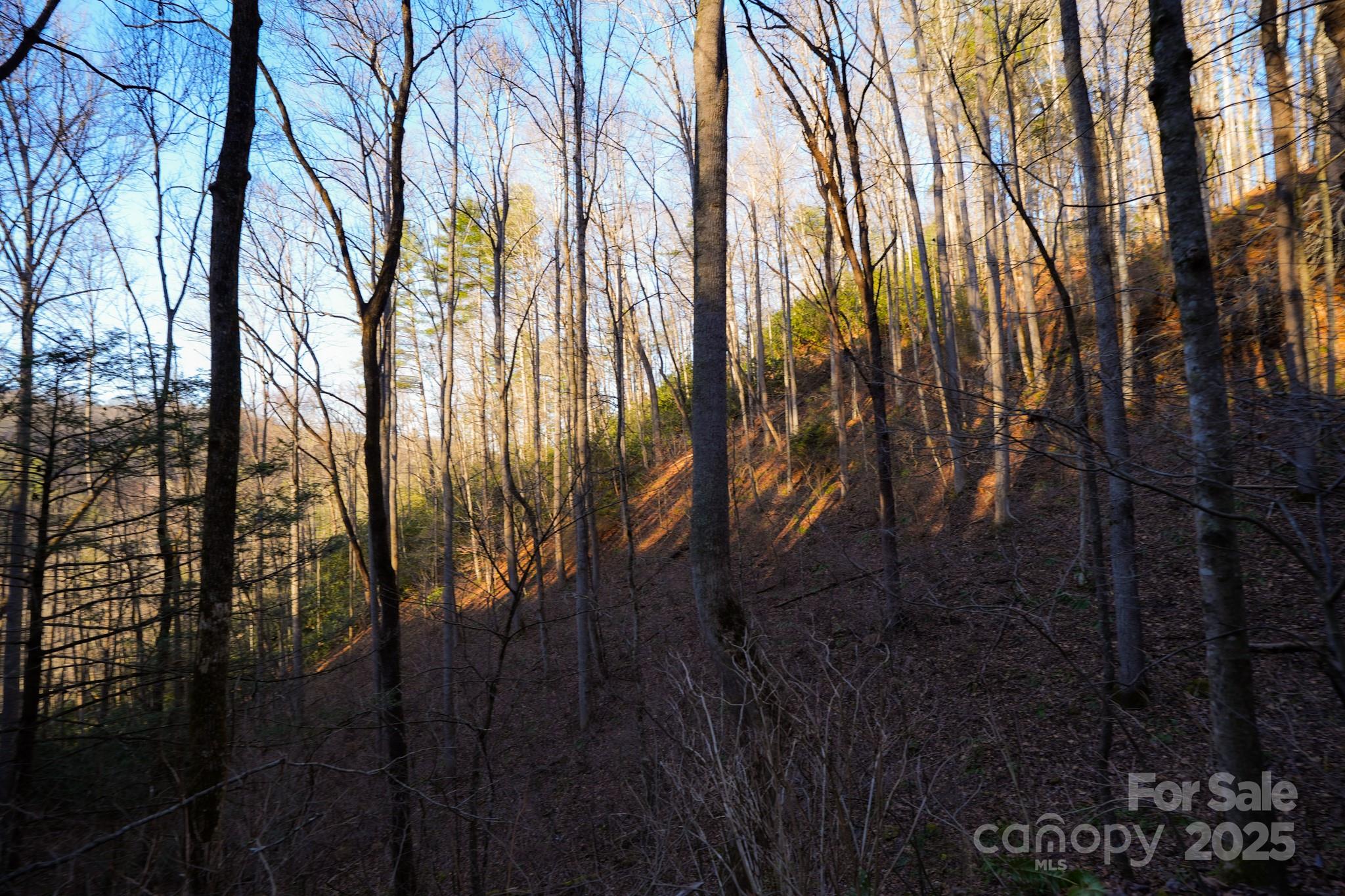 9999999 White Oak Road Property Photo 9