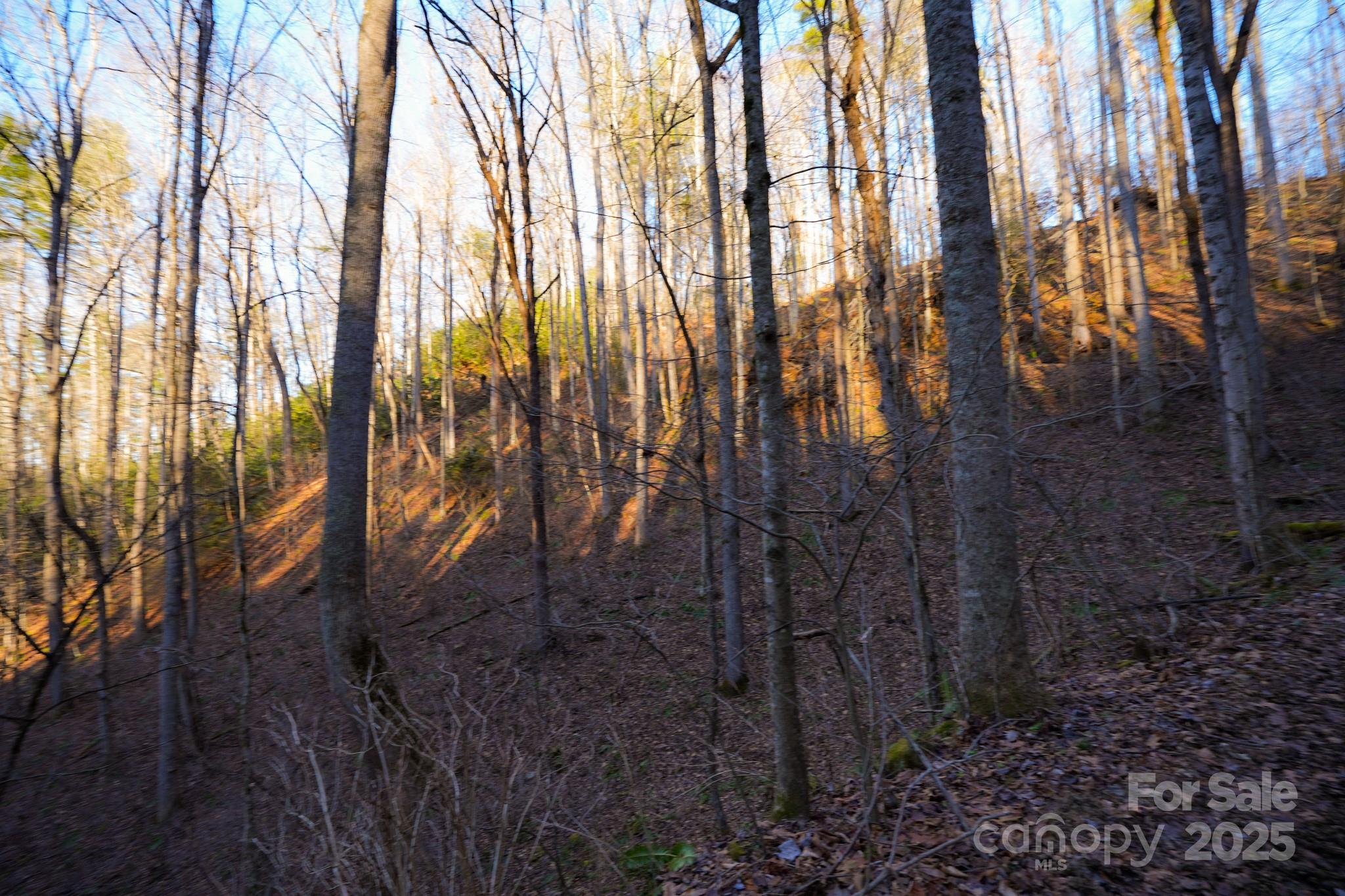 9999999 White Oak Road Property Photo 11