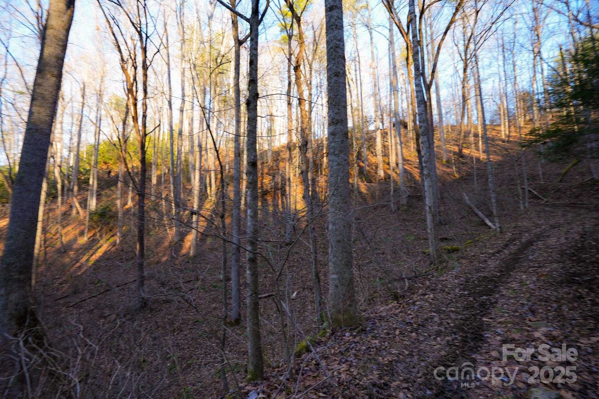 9999999 White Oak Road Property Photo 12