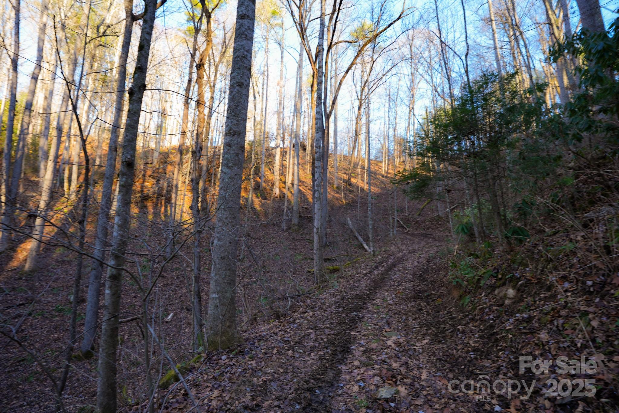 9999999 White Oak Road Property Photo 13