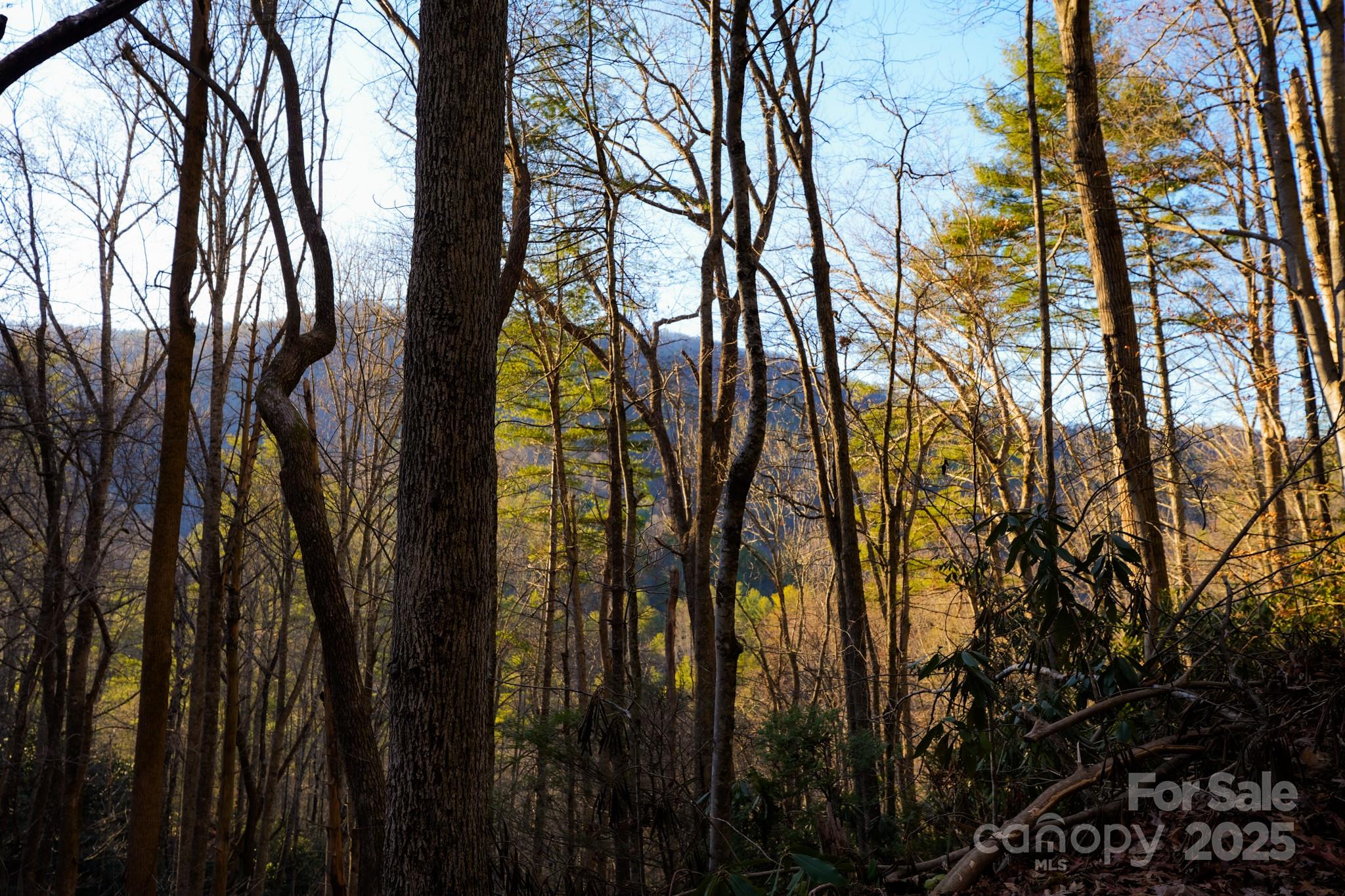 9999999 White Oak Road Property Photo 16