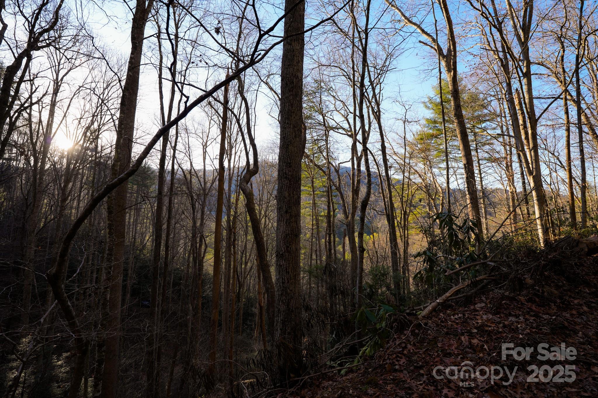 9999999 White Oak Road Property Photo 17