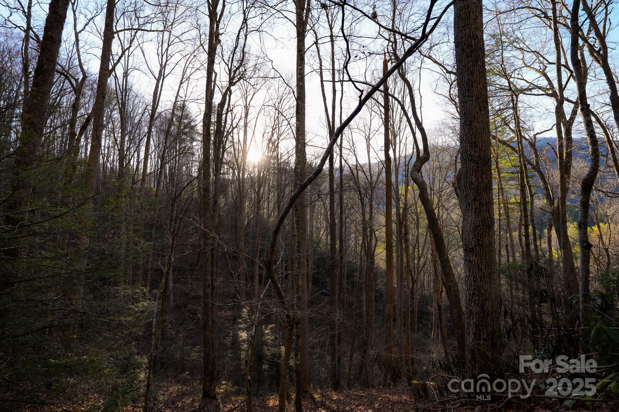 9999999 White Oak Road Property Photo 18