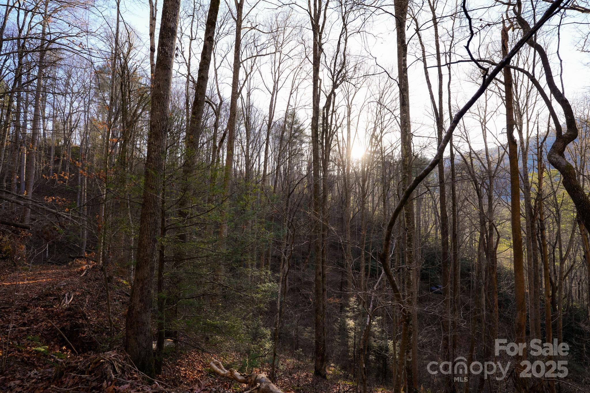 9999999 White Oak Road Property Photo 19