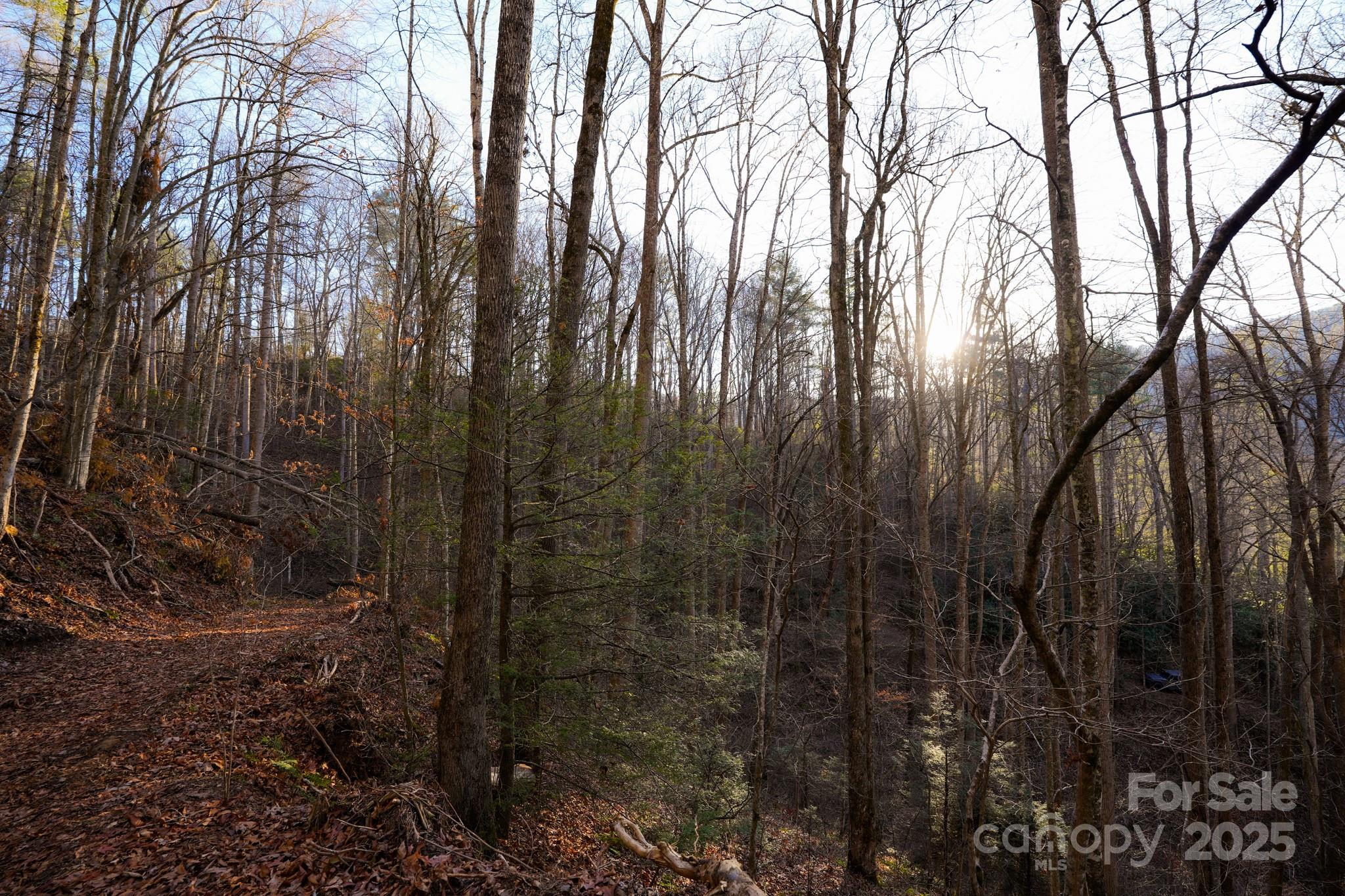 9999999 White Oak Road Property Photo 20