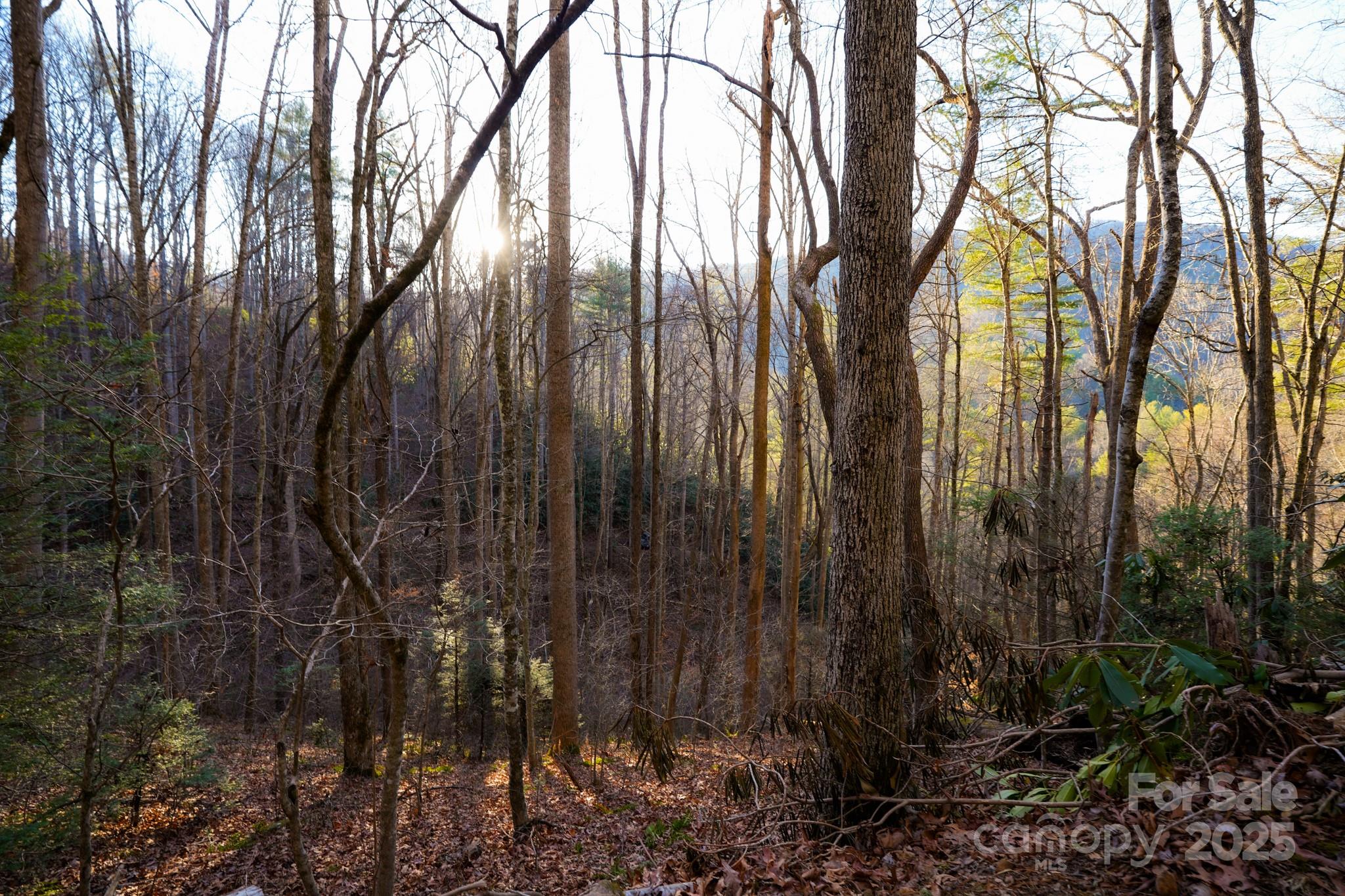 9999999 White Oak Road Property Photo 21