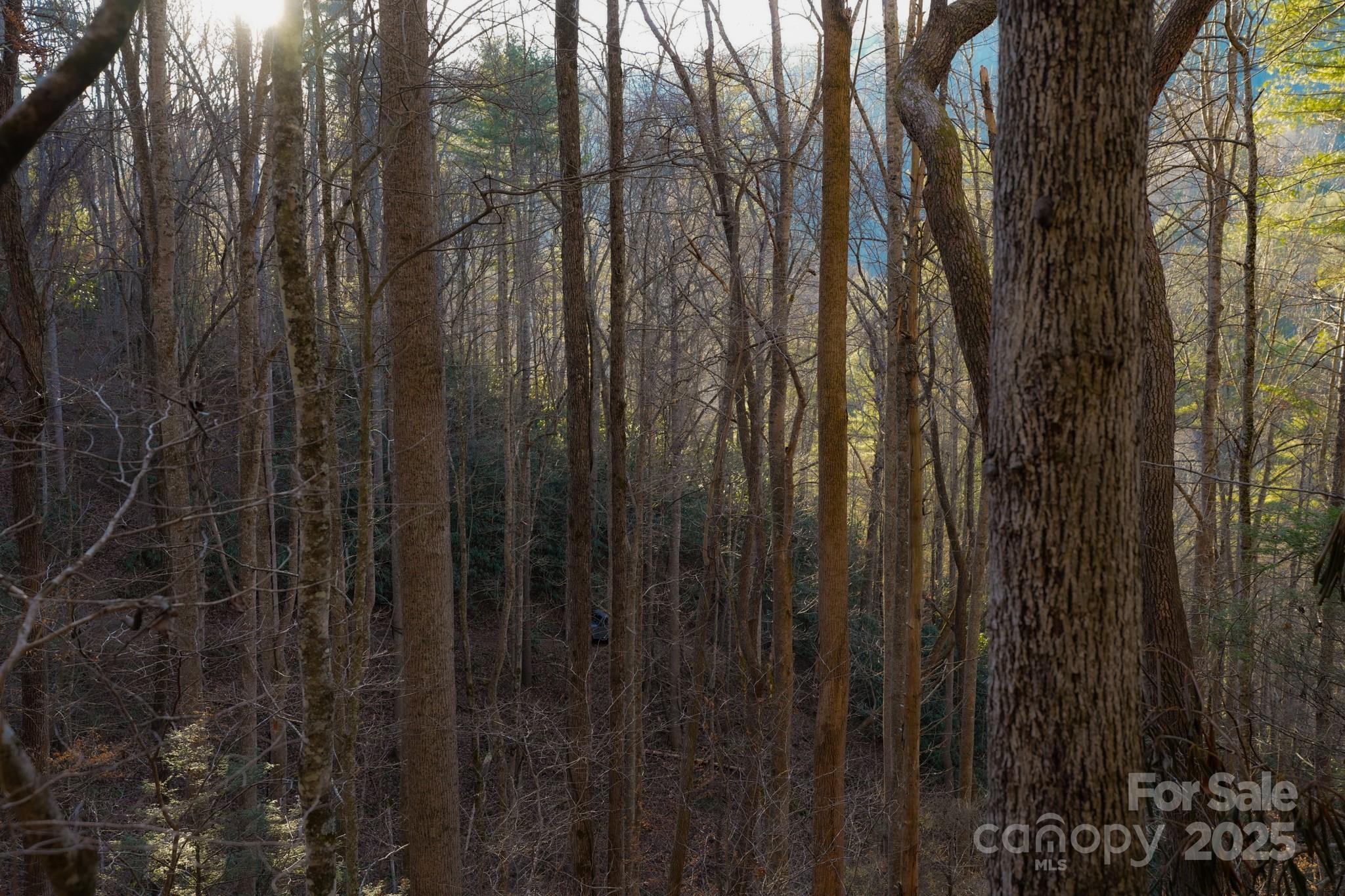 9999999 White Oak Road Property Photo 22