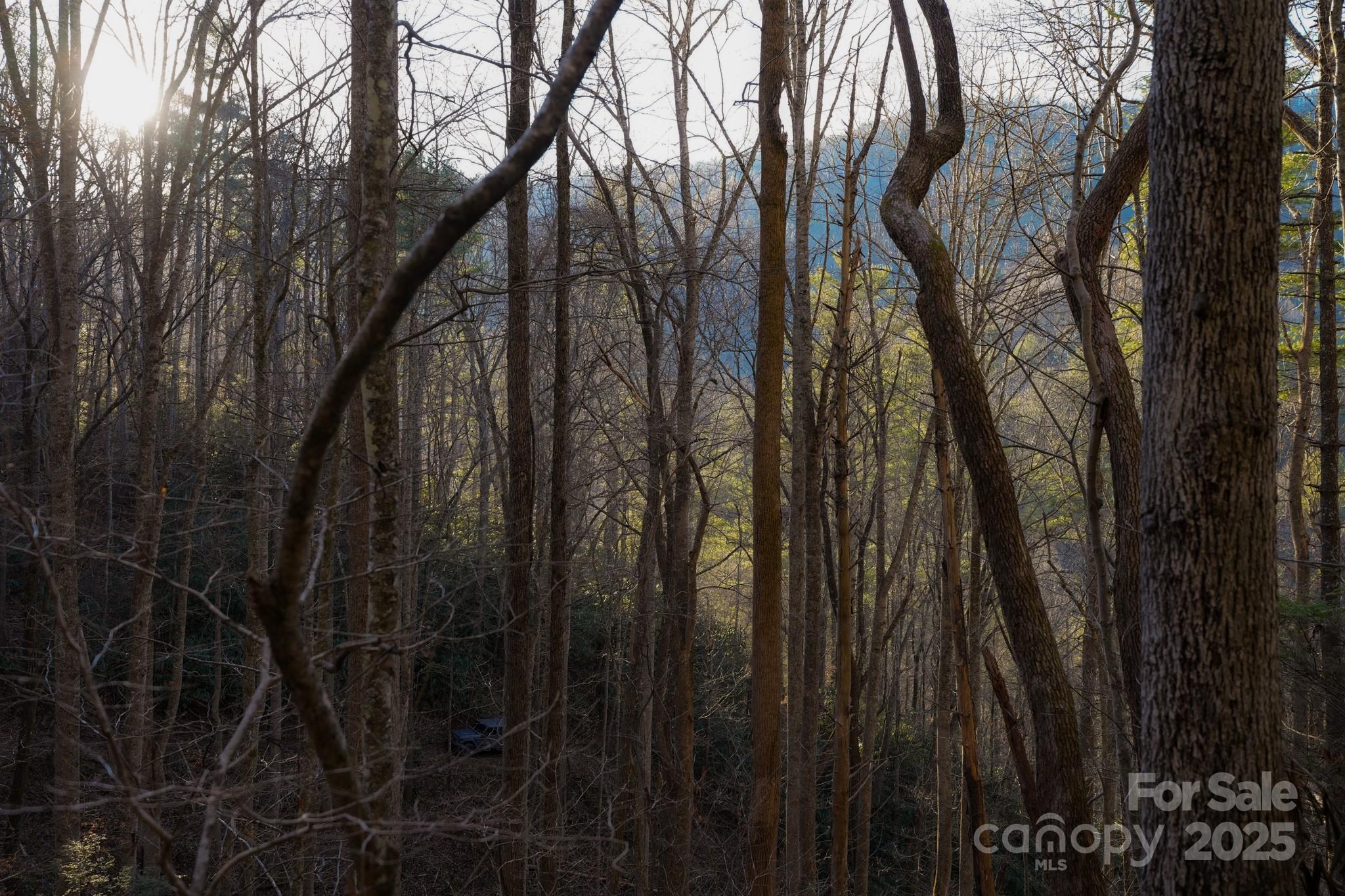 9999999 White Oak Road Property Photo 23