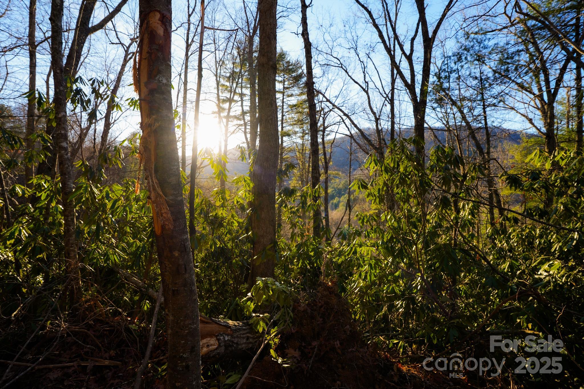 9999999 White Oak Road Property Photo 25