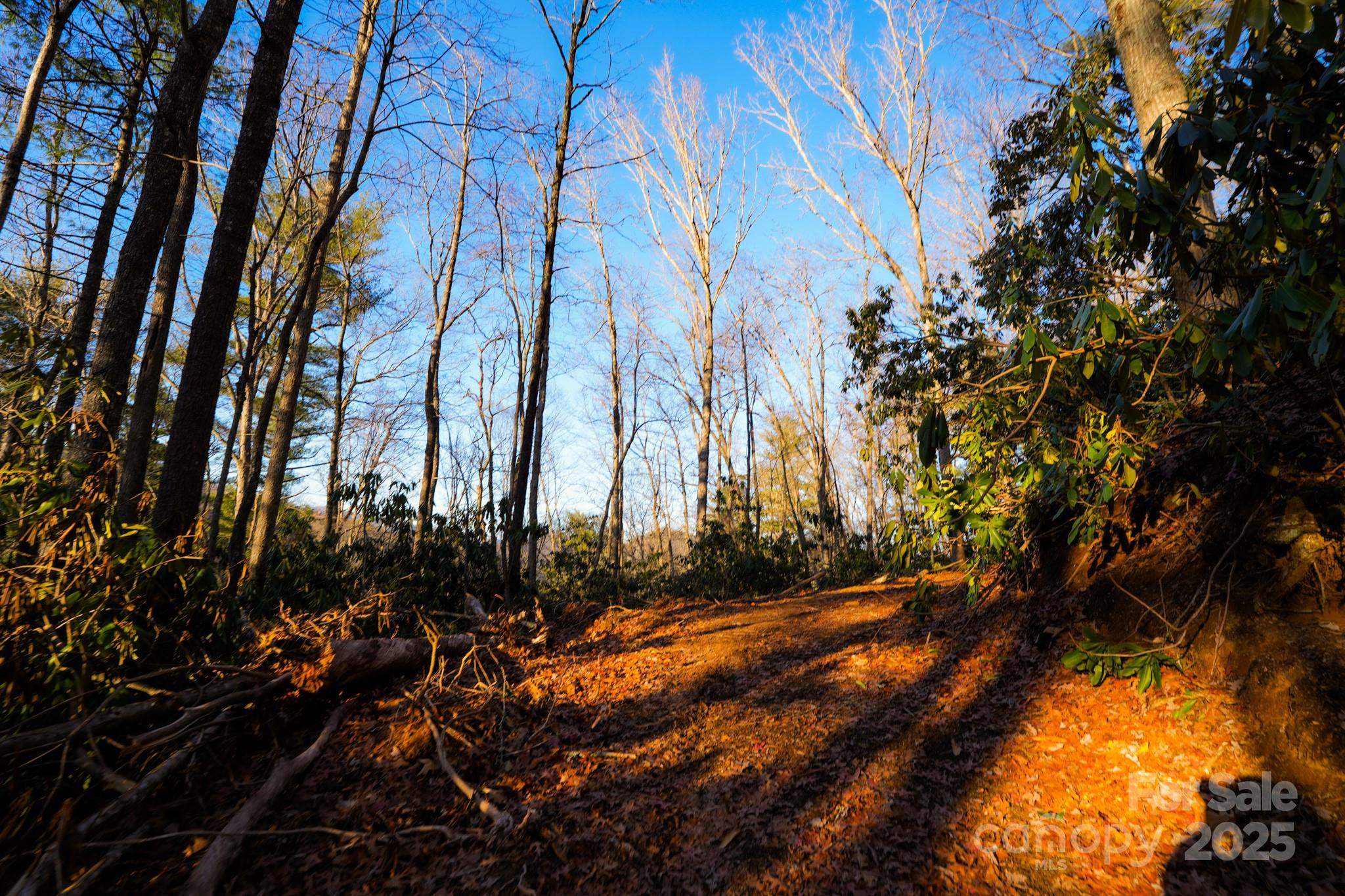 9999999 White Oak Road Property Photo 26